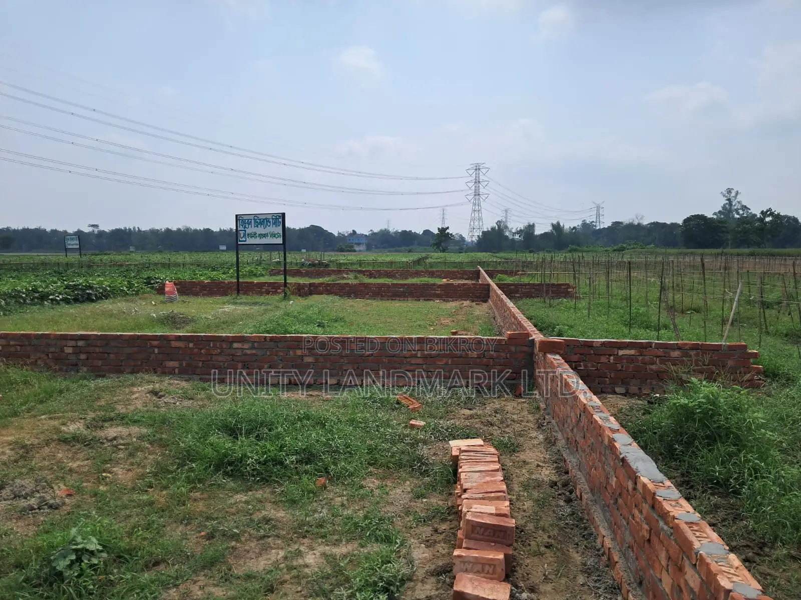 20 Katha Large Dispute-Free Land for Sale | Near Hemayetpur Metro Rail in Singair