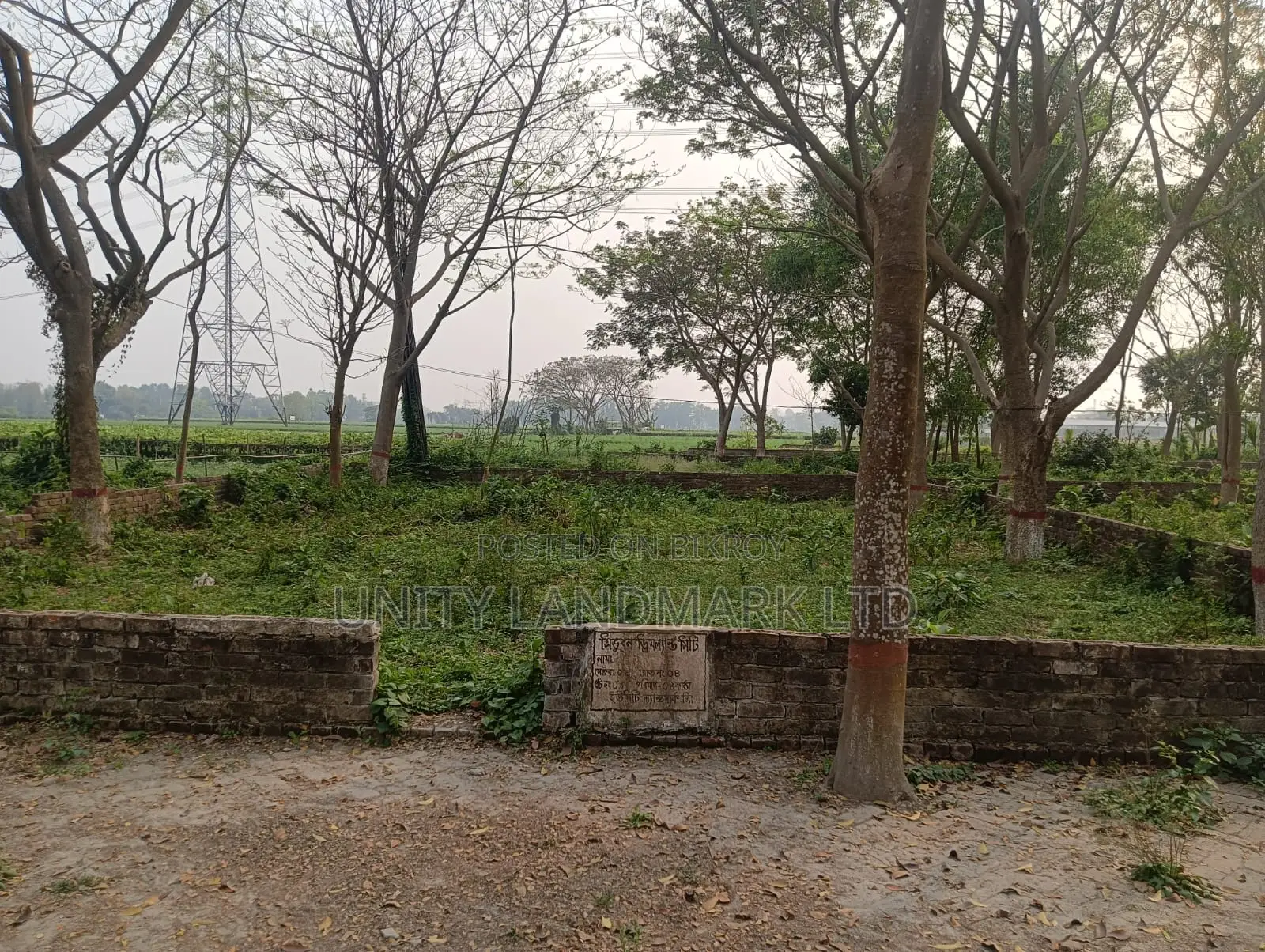 20 Katha Large Dispute-Free Land for Sale | Near Hemayetpur Metro Rail in Singair