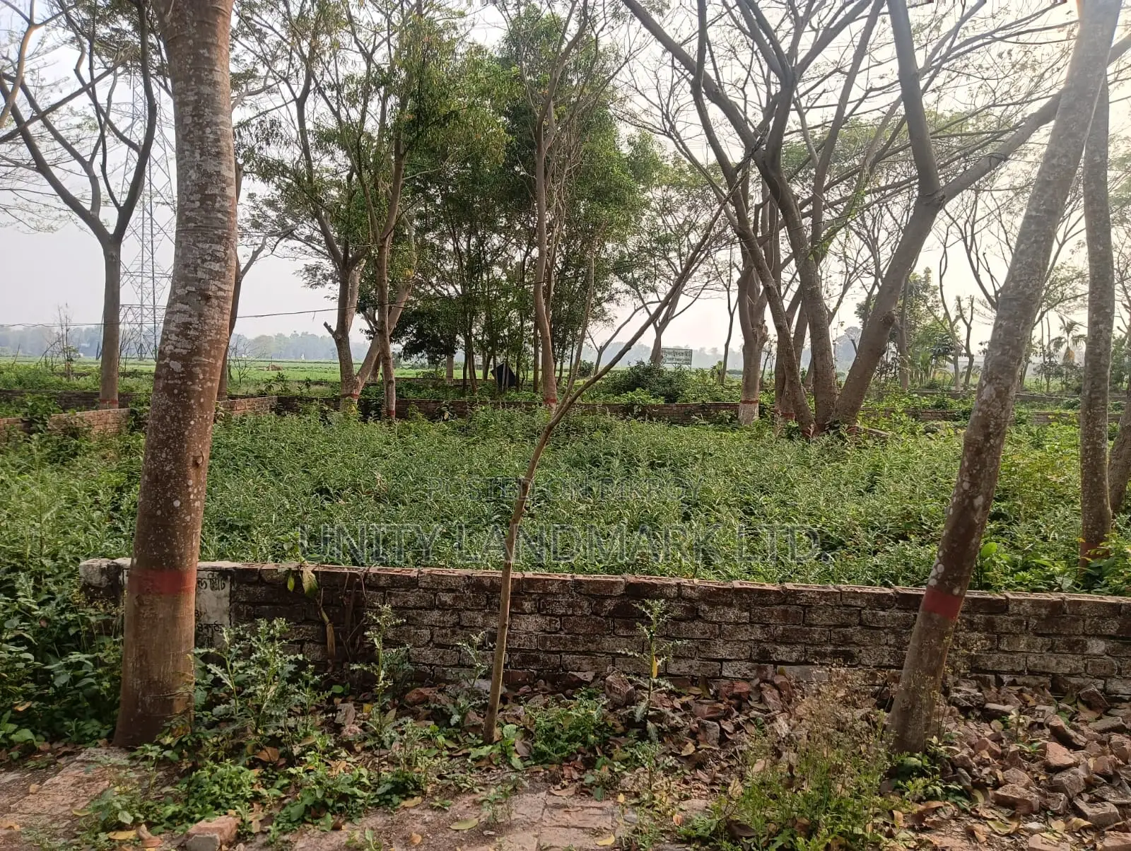 20 Katha Large Dispute-Free Land for Sale | Near Hemayetpur Metro Rail in Singair