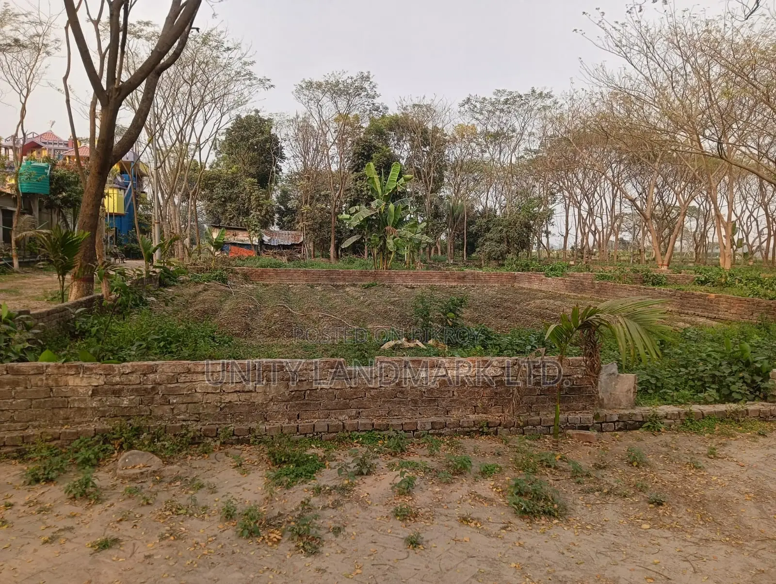 20 Katha Large Dispute-Free Land for Sale | Near Hemayetpur Metro Rail in Singair