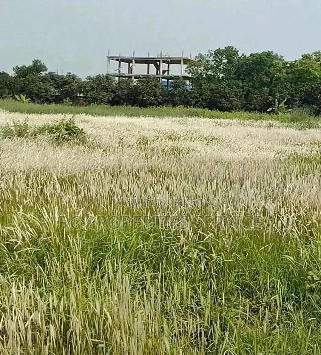 7 Bigha Land Rent in Gazipur Sadar