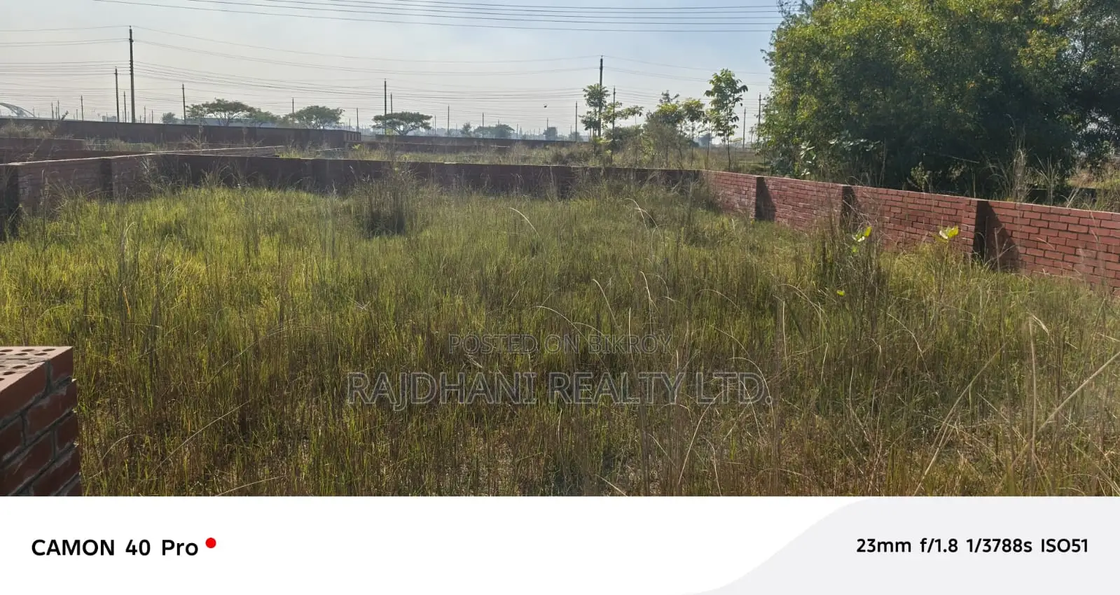 3 Katha Plot for Sale in P Block, Bashundhara R/A in Basundhara