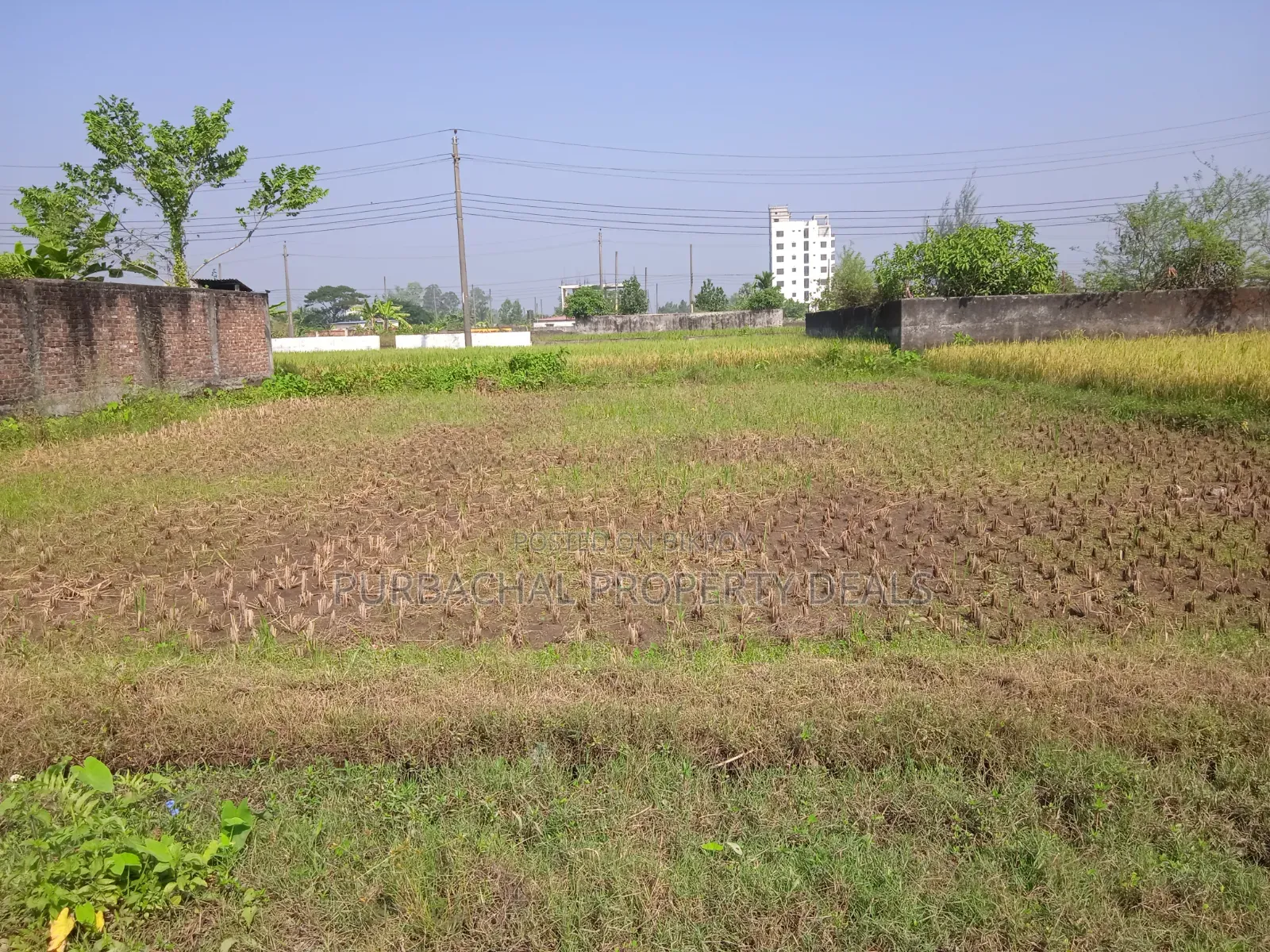 Ready 3 Katha Plot for Sale in Purbachal Sector-25 in Purbachal