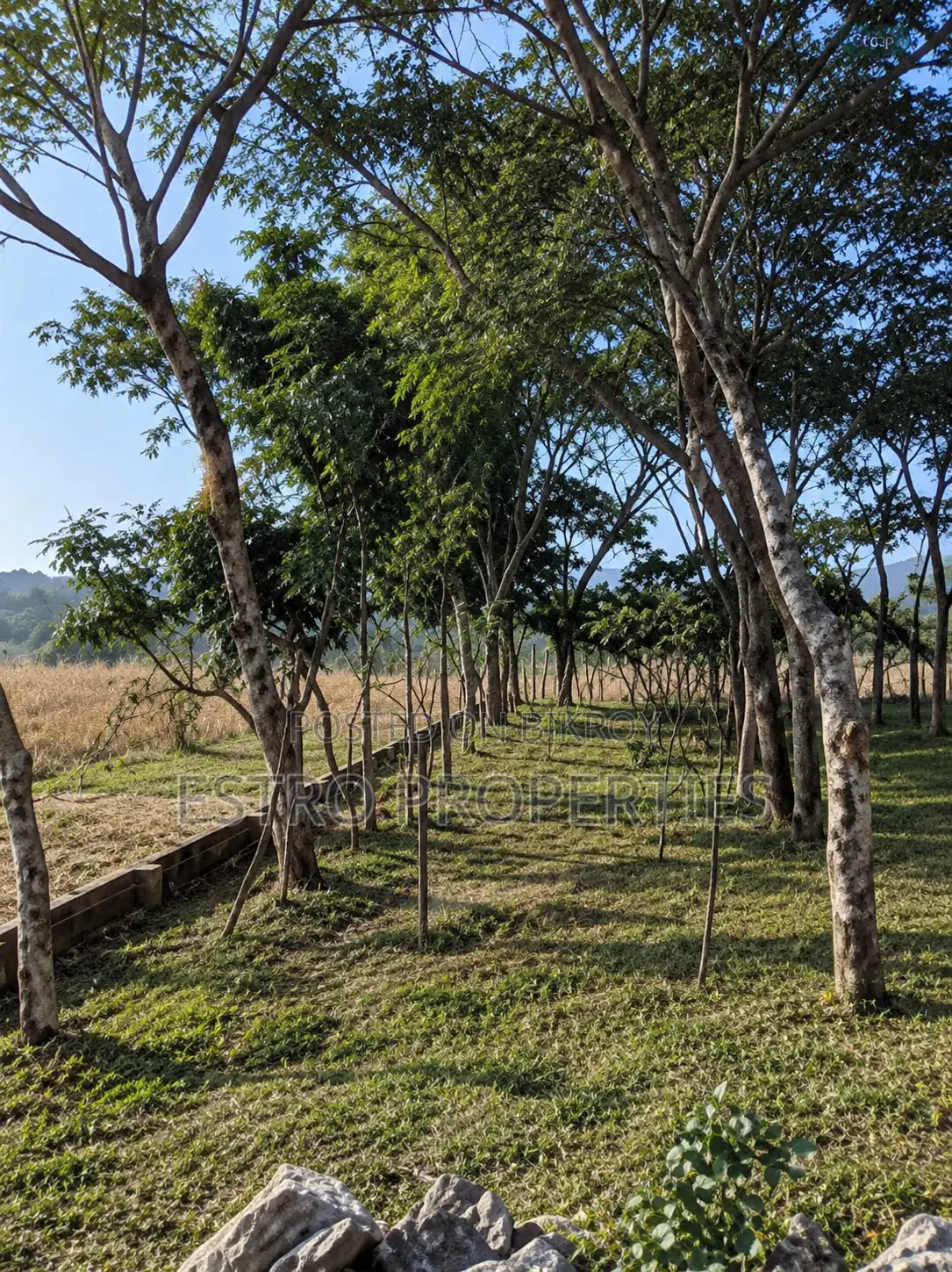 20 Shotok land for sale in Mujgunni, Khulna in Khulna Sadar