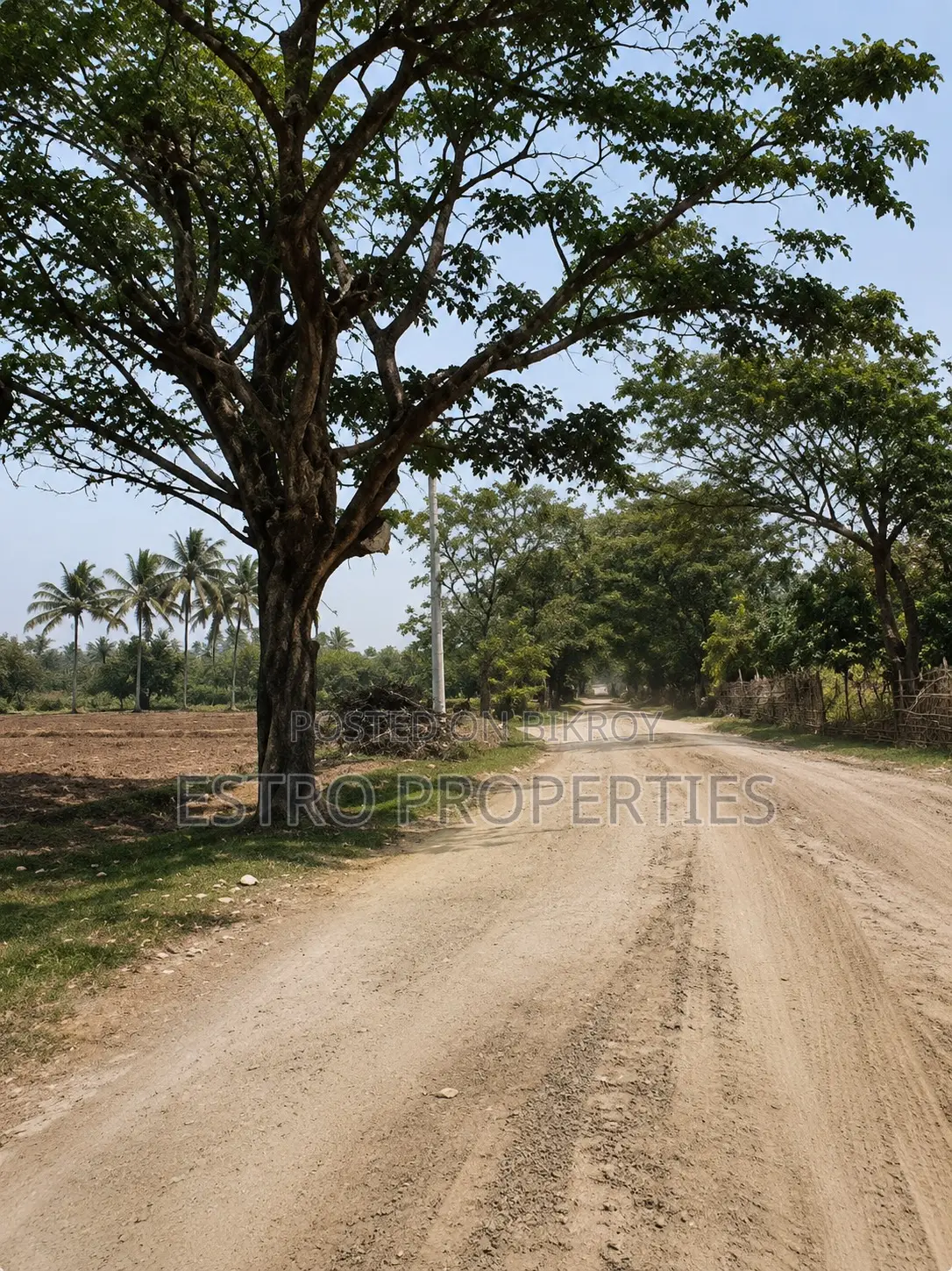 20 Shotok land for sale in Mujgunni, Khulna in Khulna Sadar