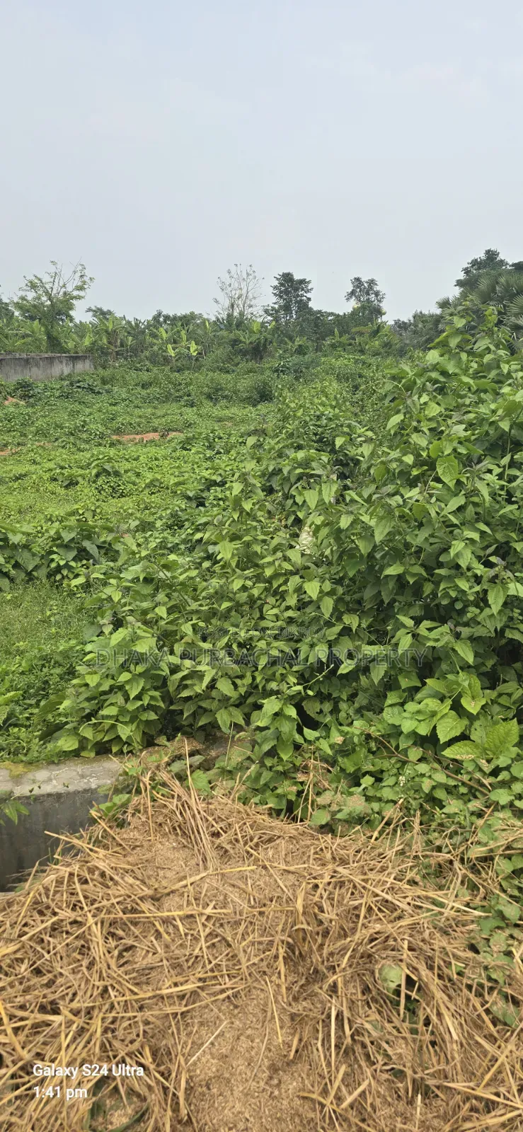 3 Katha South-Facing Plot for Sale on 100' Road in Purbachal