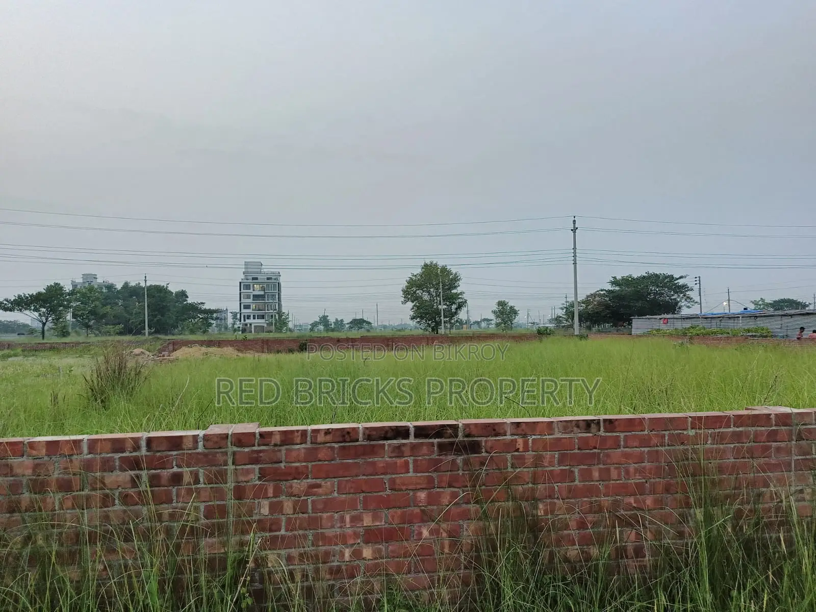 South Facing Plot Sell in N Block Bashundhara in Basundhara