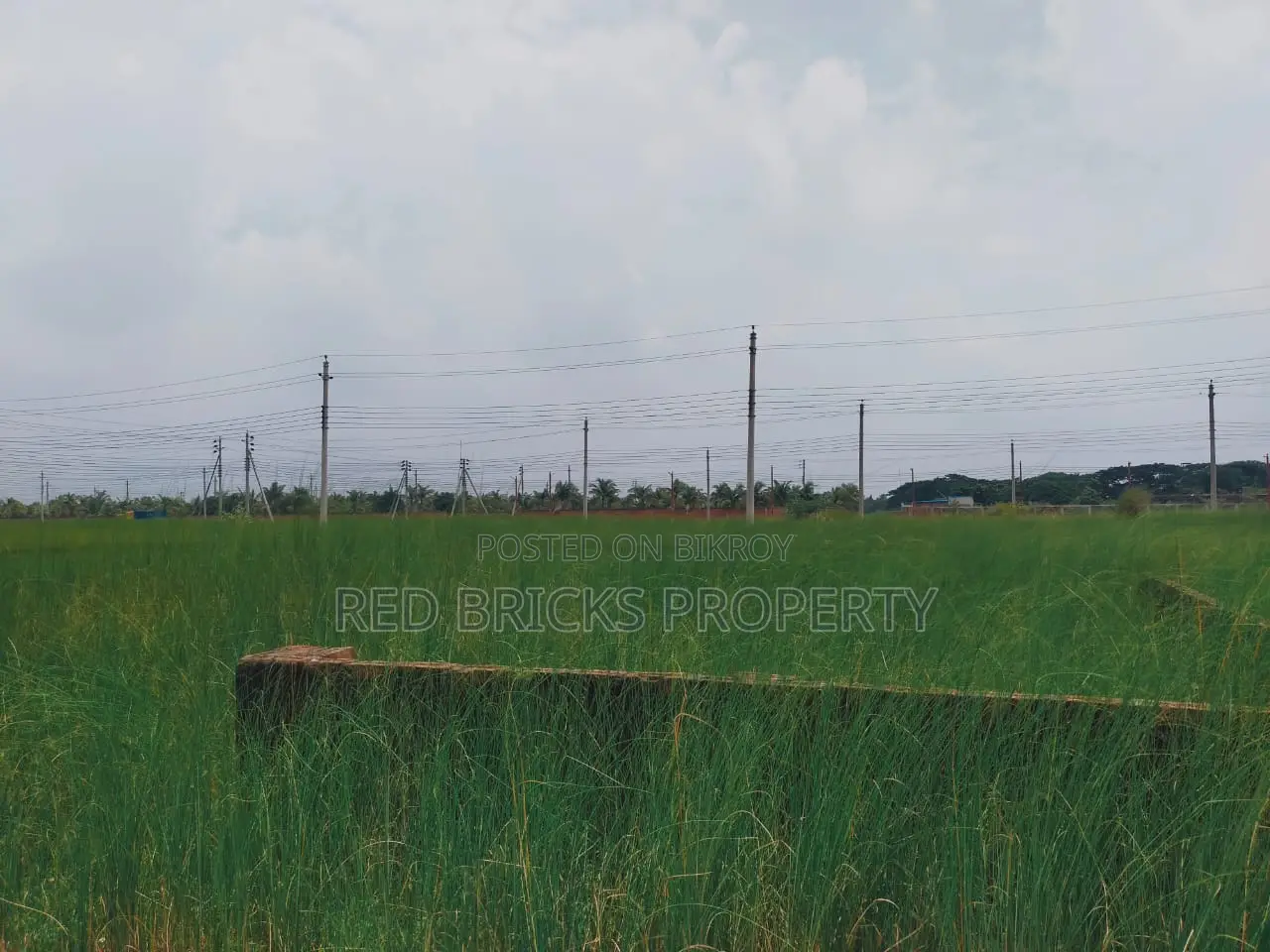3 Katha Plot Sell in N Block, Bashundara R/A in Basundhara