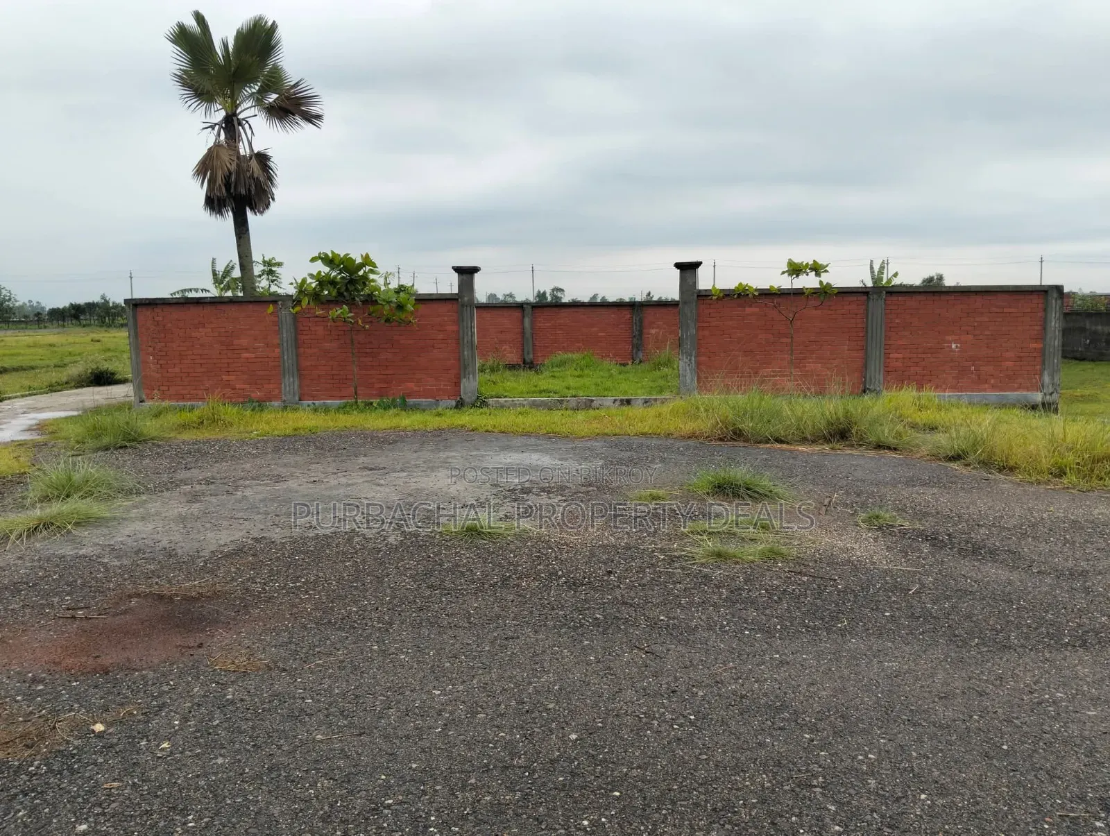 Ready 5 Katha Plot for Sale at Lake View Facing, Sector 22, Purbachal in Purbachal