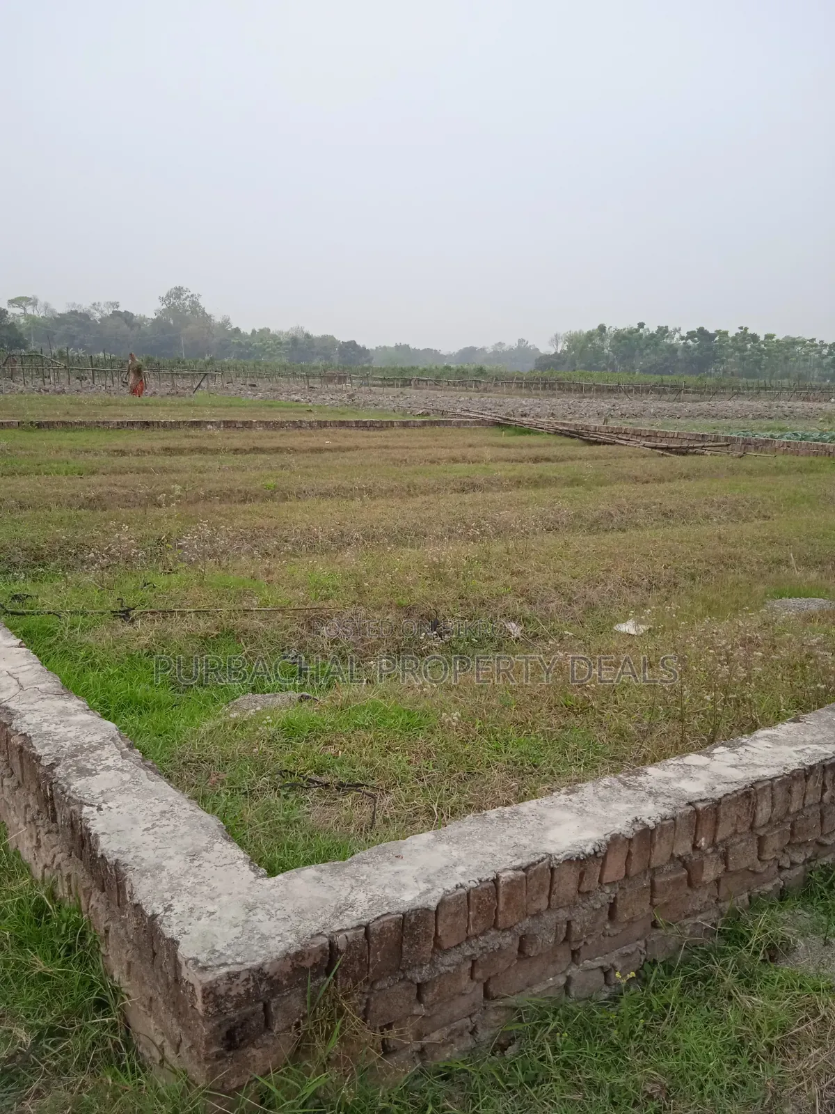Ready 5 Katha Plot for Sale at Lake View Facing, Sector 22, Purbachal in Purbachal