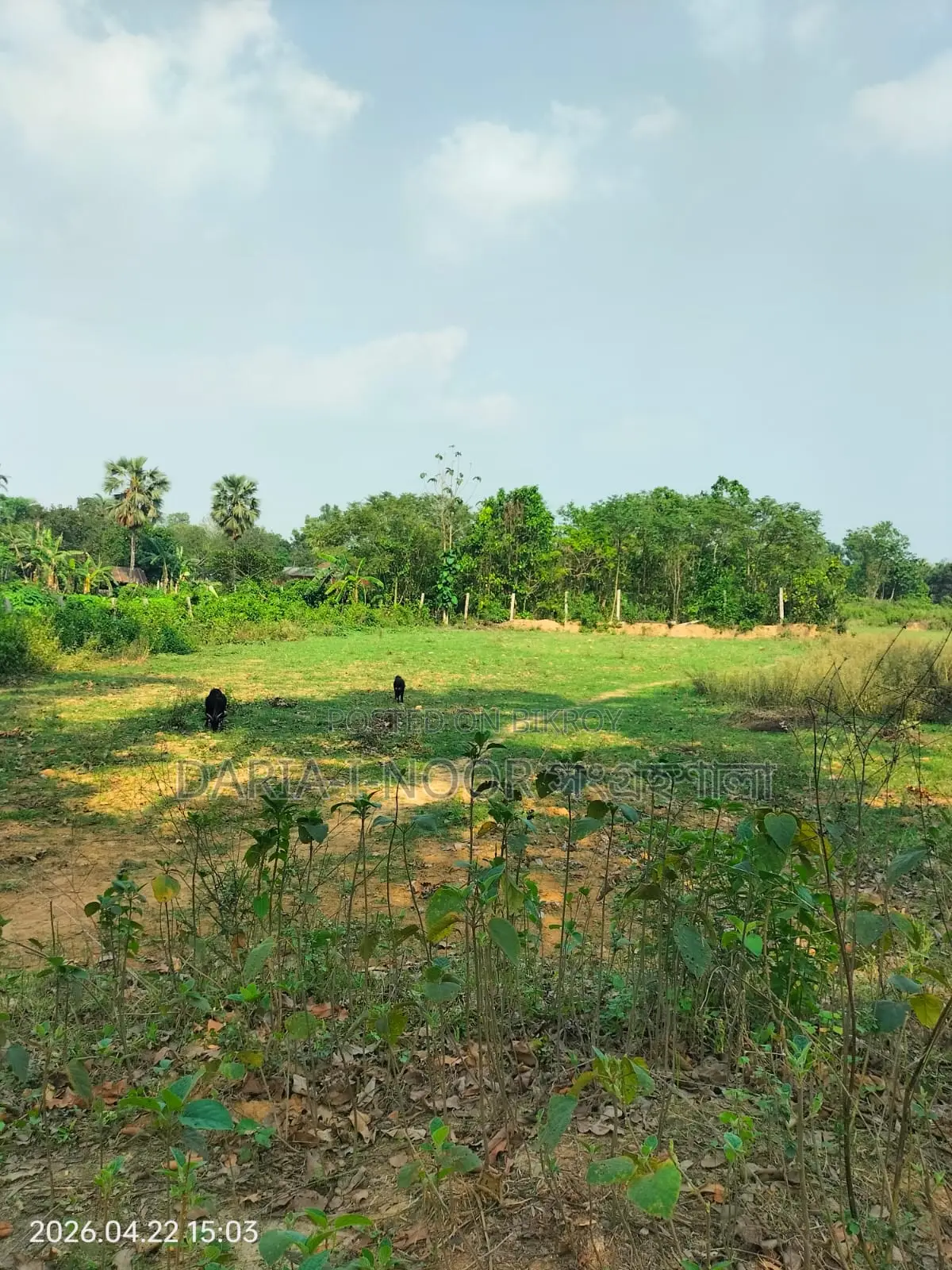 1.38 Lac Taka Per Decimal at Maona, Gazipur in Sreepur