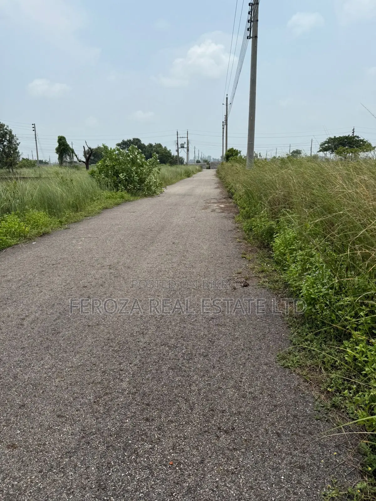 South Facing-plot Block H-3 Katha Urgent Sale In Bashundhara in Basundhara