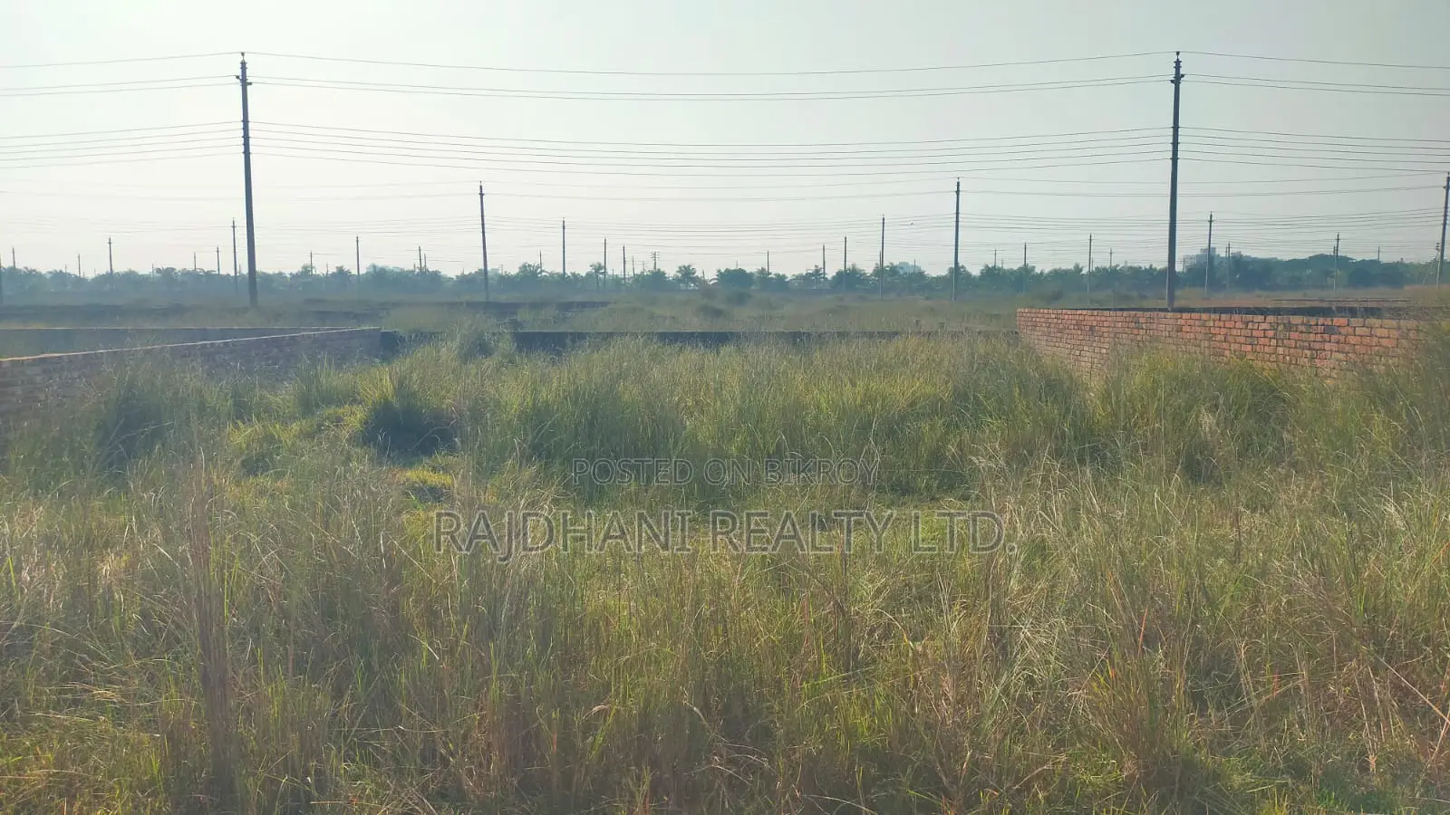 10 Katha Plot for Sale in Basundhara