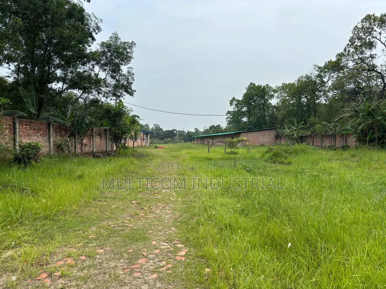 9.50 Bigha With 26,000 SQFT Factory Shed at Shalna, Gazipur in Gazipur Sadar
