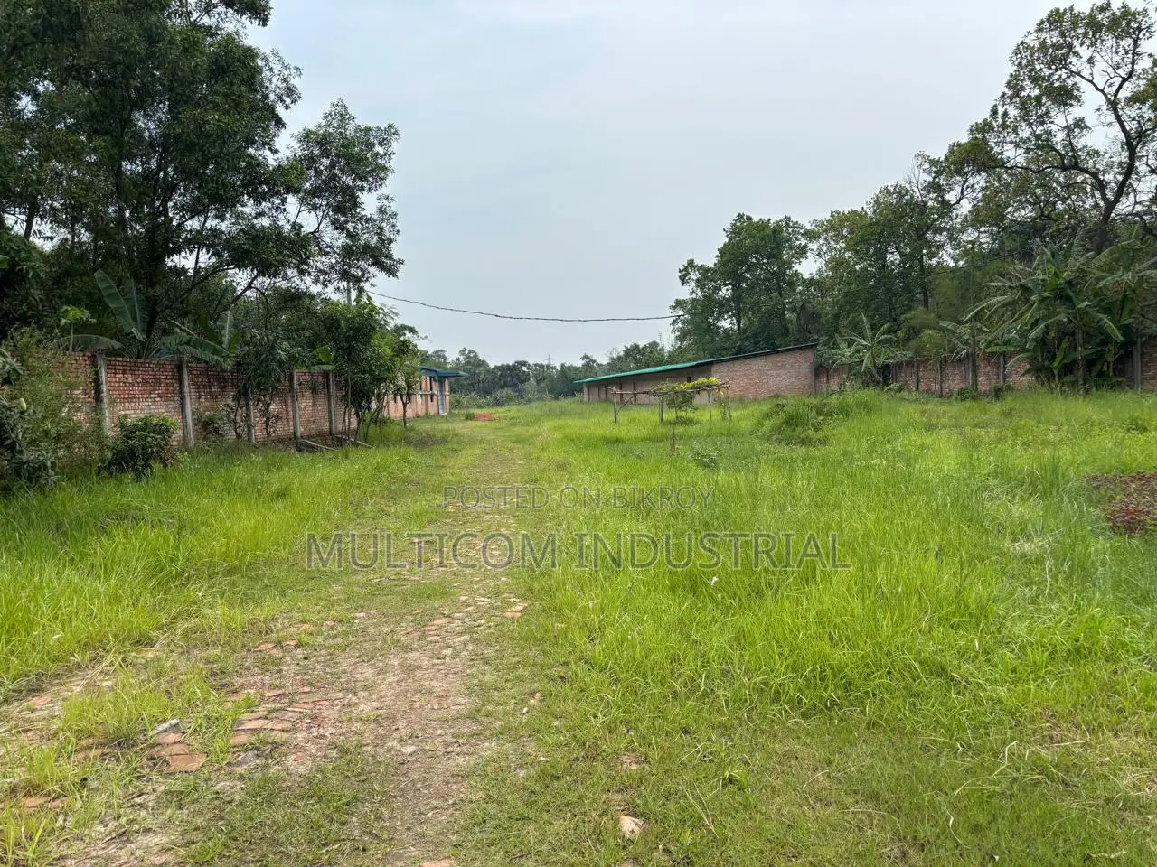 9.50 Bigha With 26,000 SQFT Factory Shed at Shalna, Gazipur in Gazipur Sadar