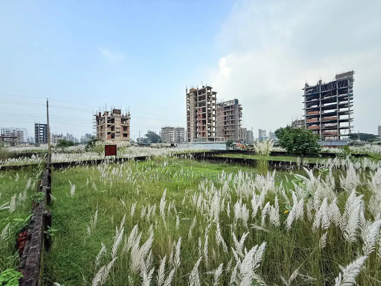 3 Katha North-Facing Plot for Sale in the Best Block of Bashundhara Residential in Basundhara