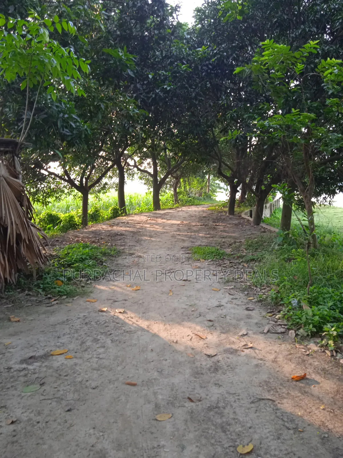 32-Decimal Garden House Land for Sale with Shitalakshya River View in Purbachal