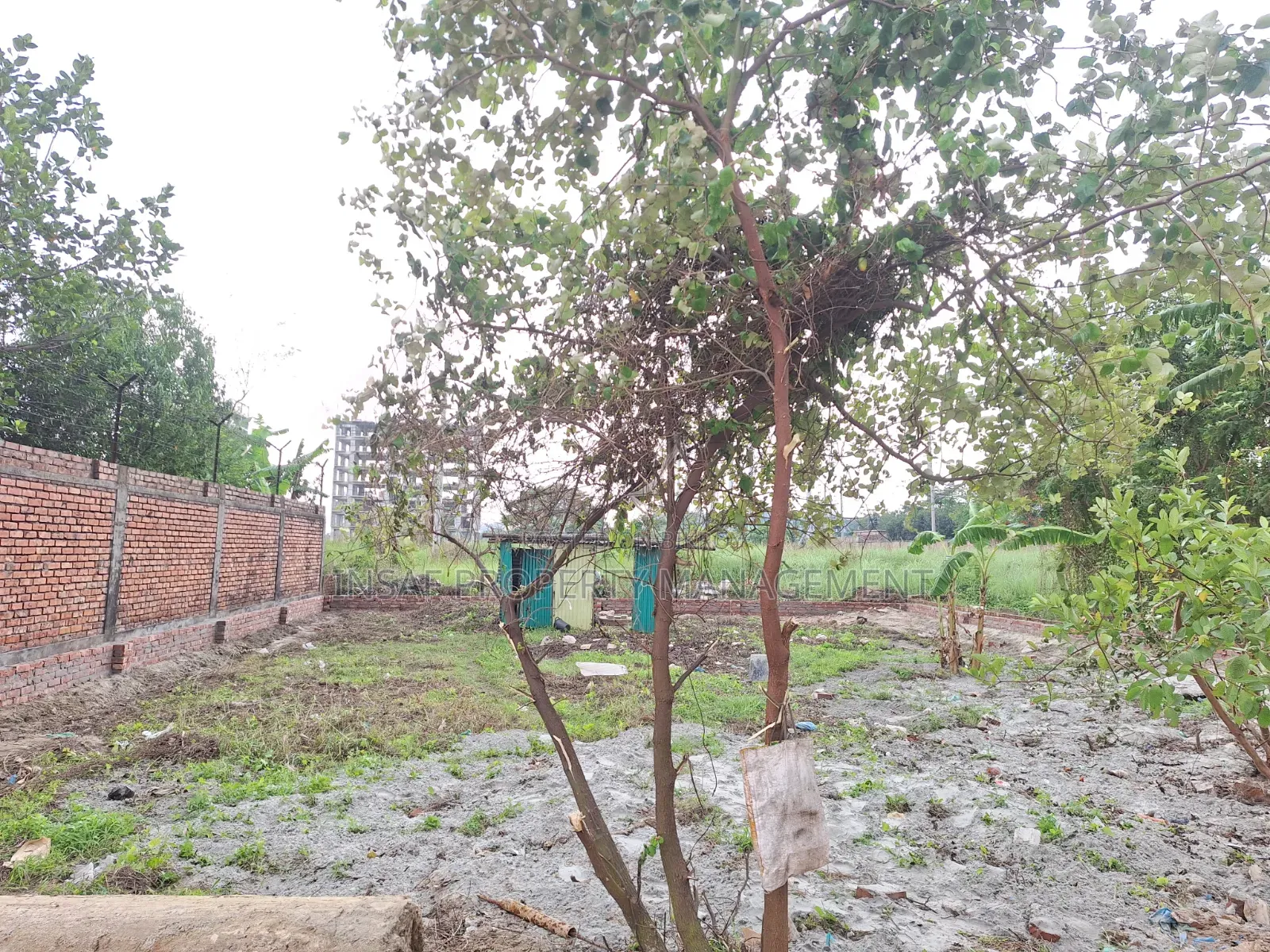 Land Sale 5 Katha Block-I Extention Bashundhara North Facing Nice View in Basundhara