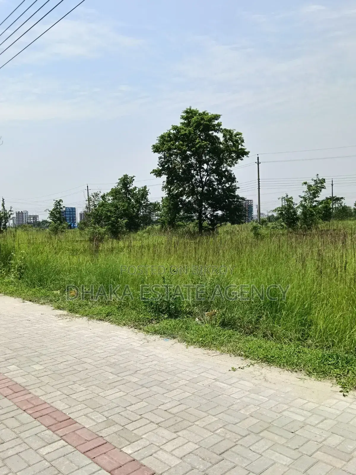 Block-N, South Facing Plot Sale in Basundhara