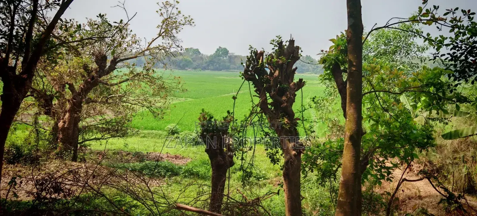 Bashundhara N Block 06 Kata Plot Sell in Bashundhara City