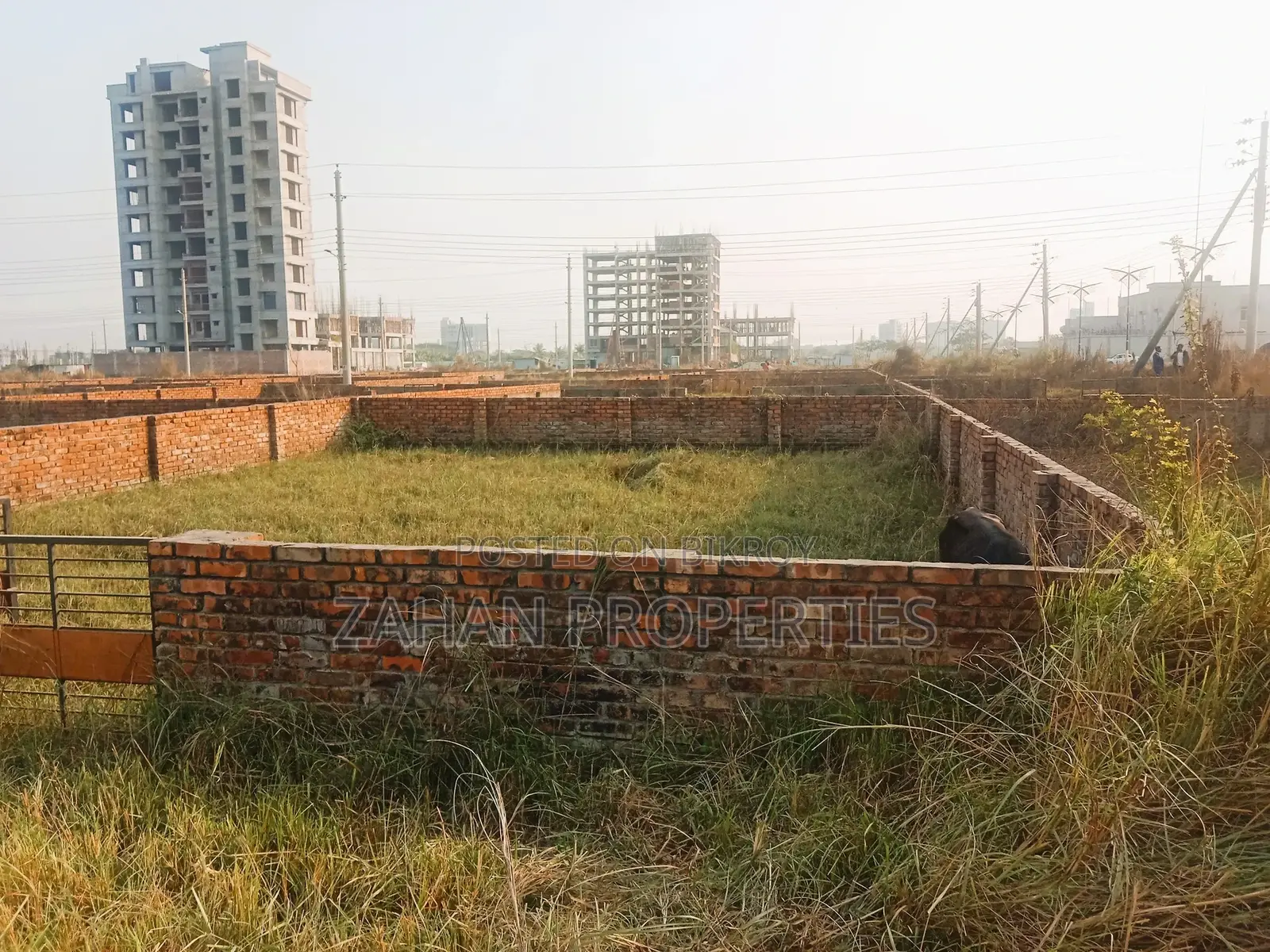 M Block 5 Katha Plot for Sale, 200 Feet Road in Basundhara