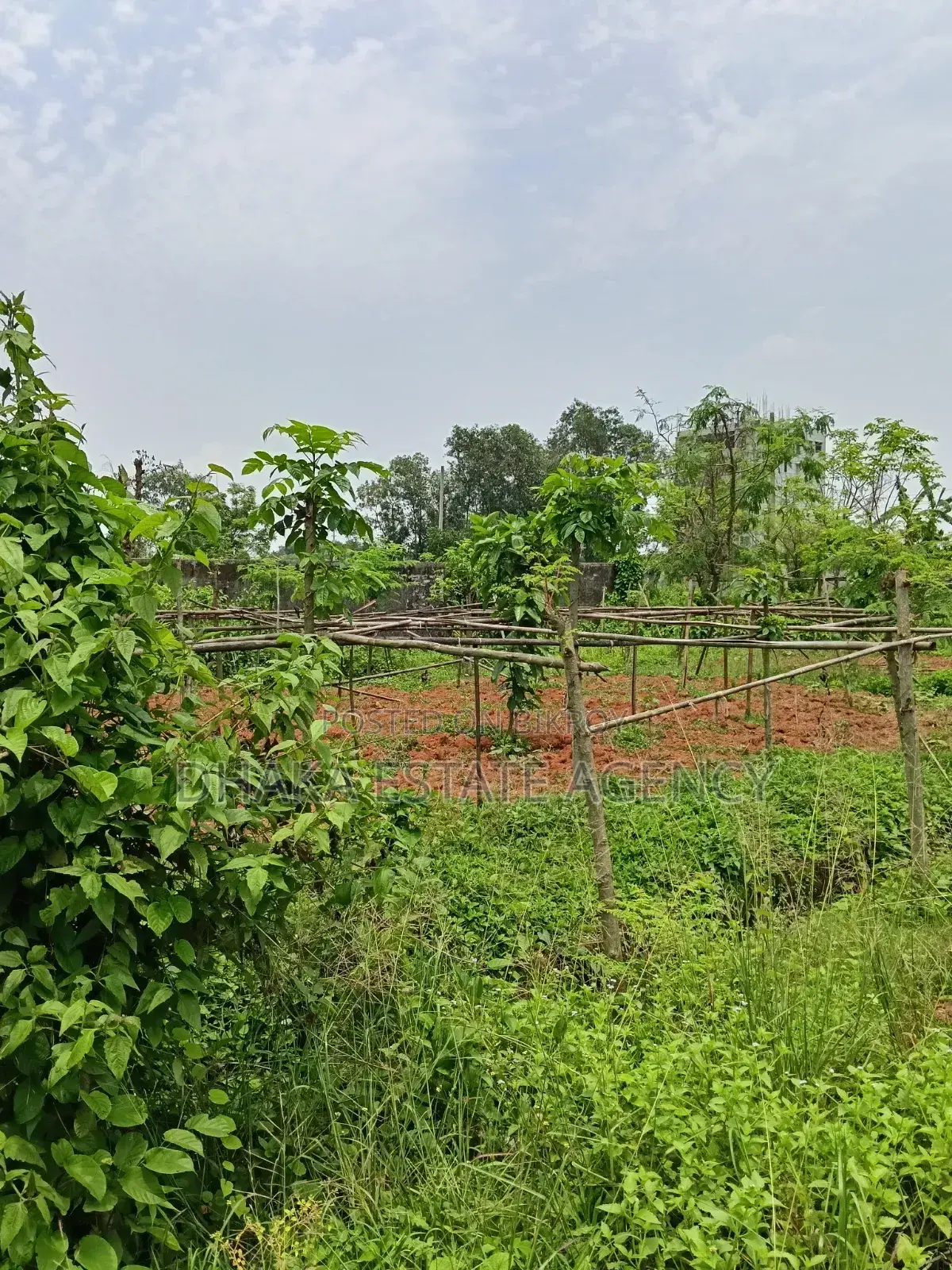 Sector-23, Box Corner 3 Katha Plot Sale in Purbachal