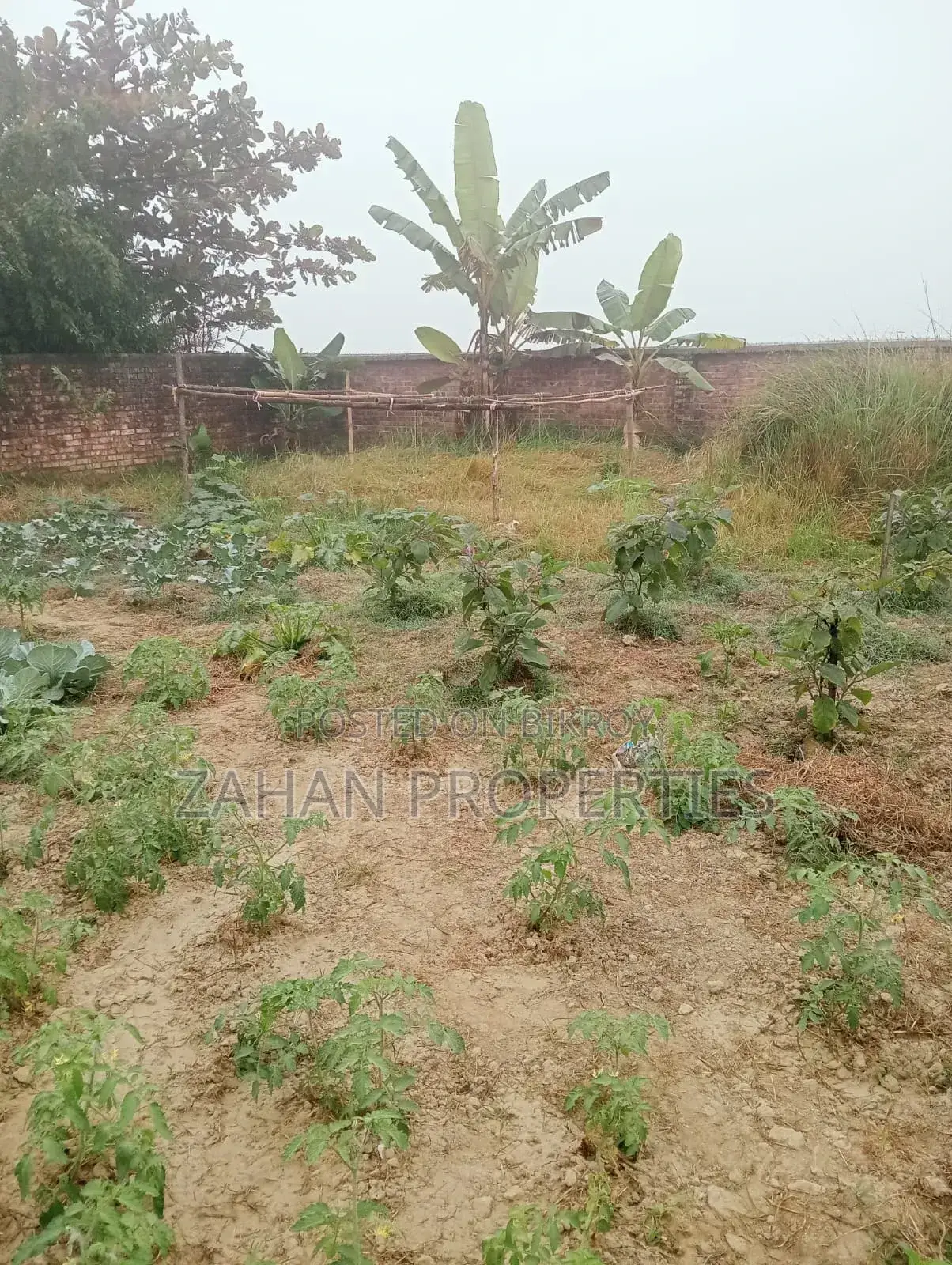 06 Katha Plot Sale in Bashundhara Residential Area in Basundhara