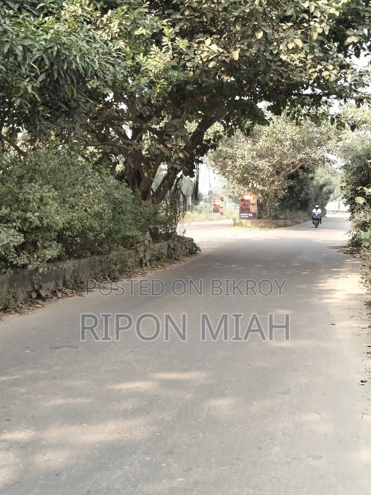 South Facing Forest Side 5 Katha Plot Sale at Sector 24, Purbachal in Purbachal