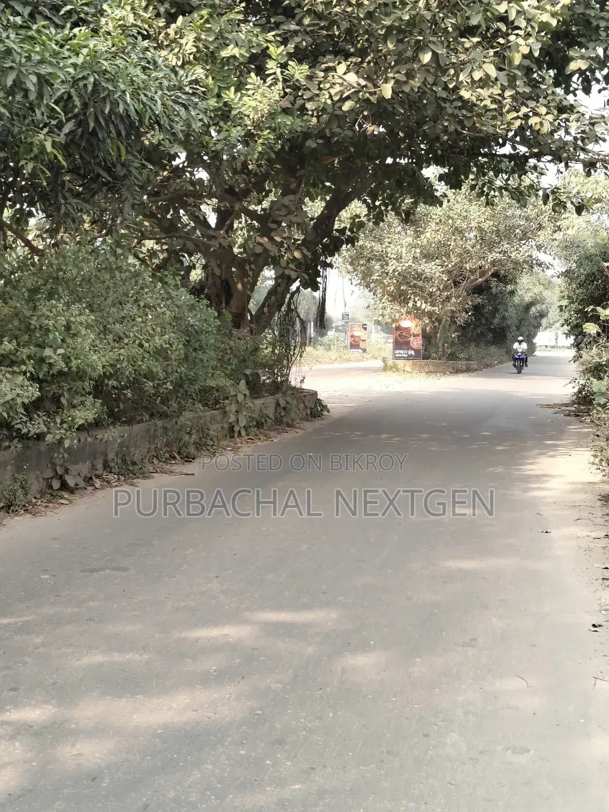 South Facing Forest Side 5 Katha Plot Sale at Sector 24, Purbachal in Purbachal
