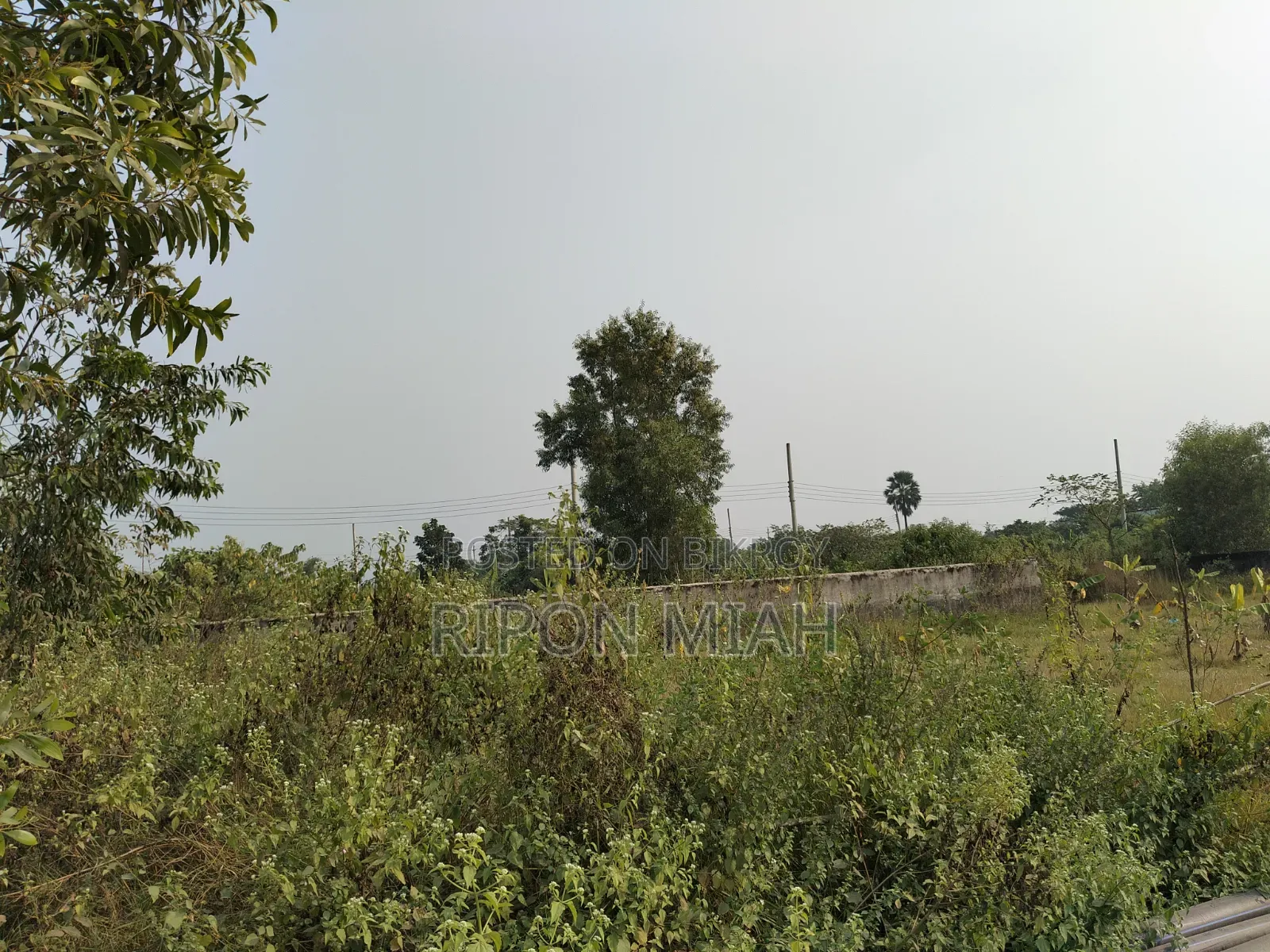 South Facing Forest Side 5 Katha Plot Sale at Sector 24, Purbachal in Purbachal