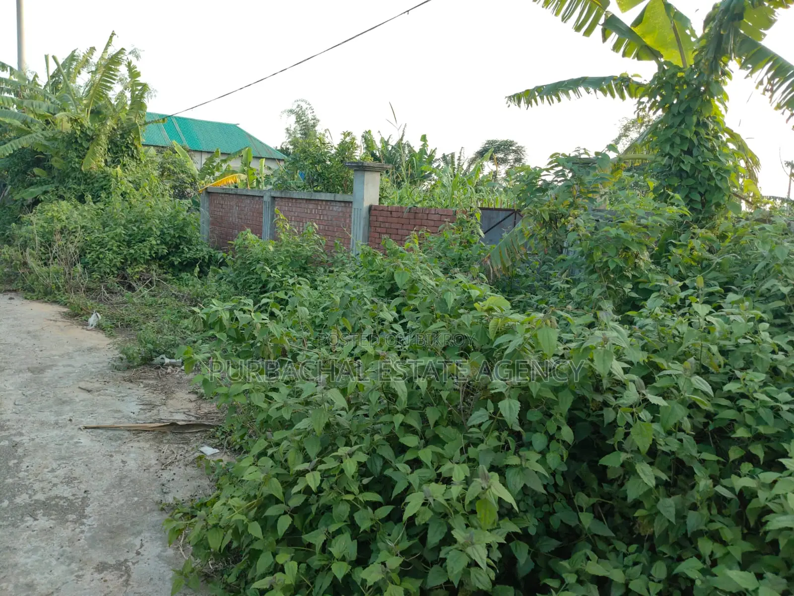 Near 160ft. South Facing, 5 Katha in Sec#22 in Purbachal