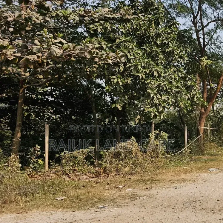 Sector 15/ B Road 3/ A Plot # in Uttara