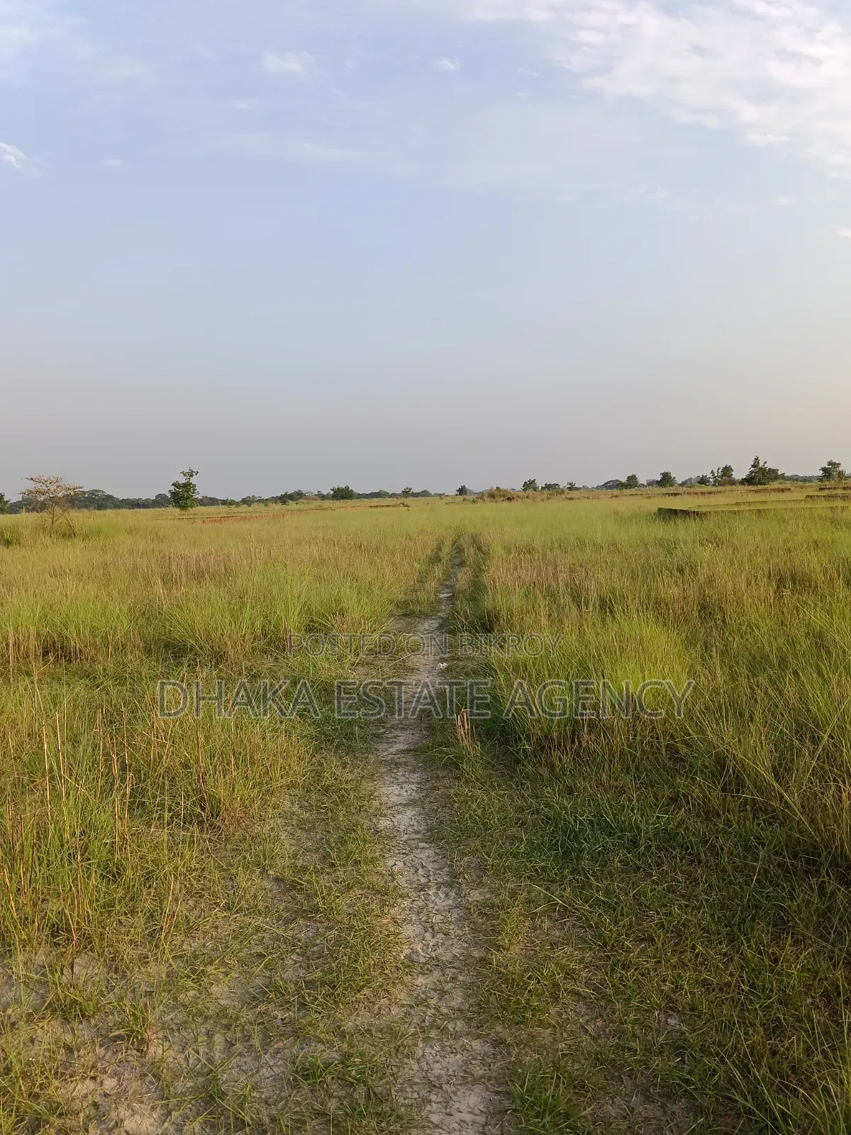 Block-N, 3+3=6 Katha, 9700 Serial Very Close 300" Feet Road in Basundhara