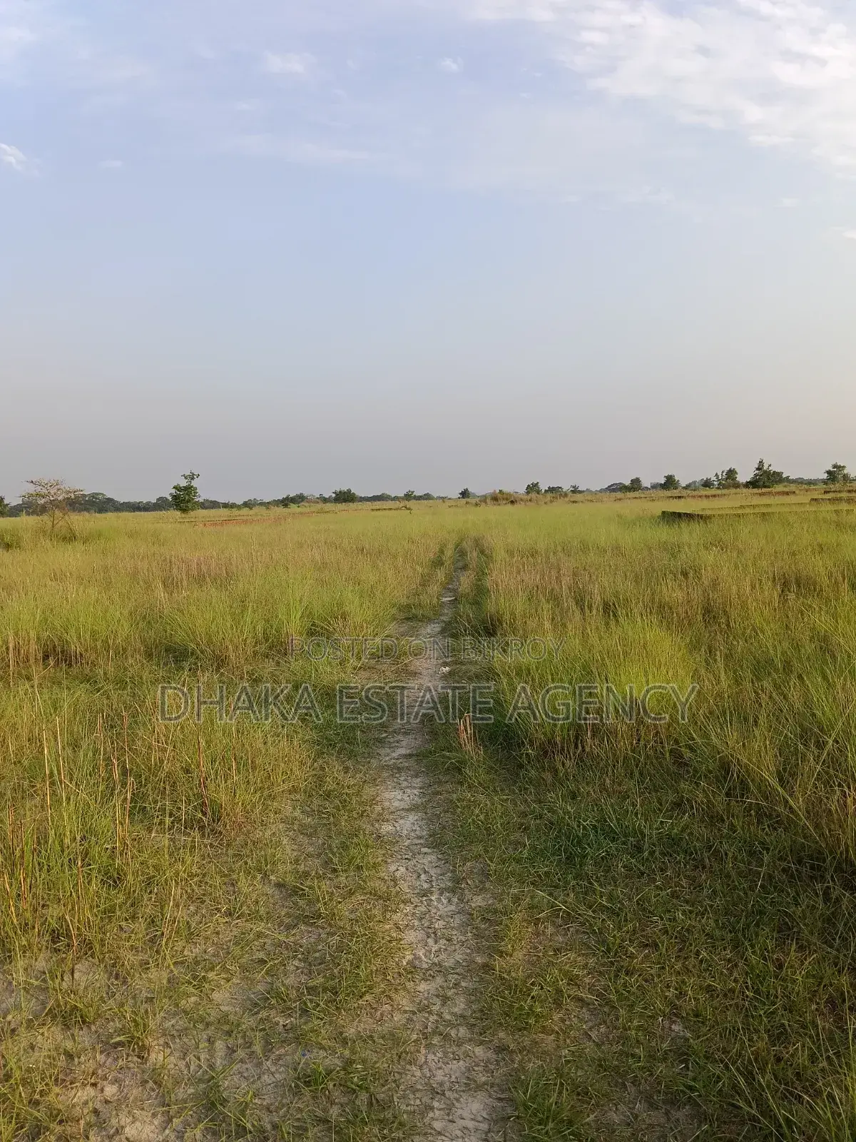Block-N, 3+3=6 Katha, 9700 Serial Very Close 300" Feet Road in Basundhara