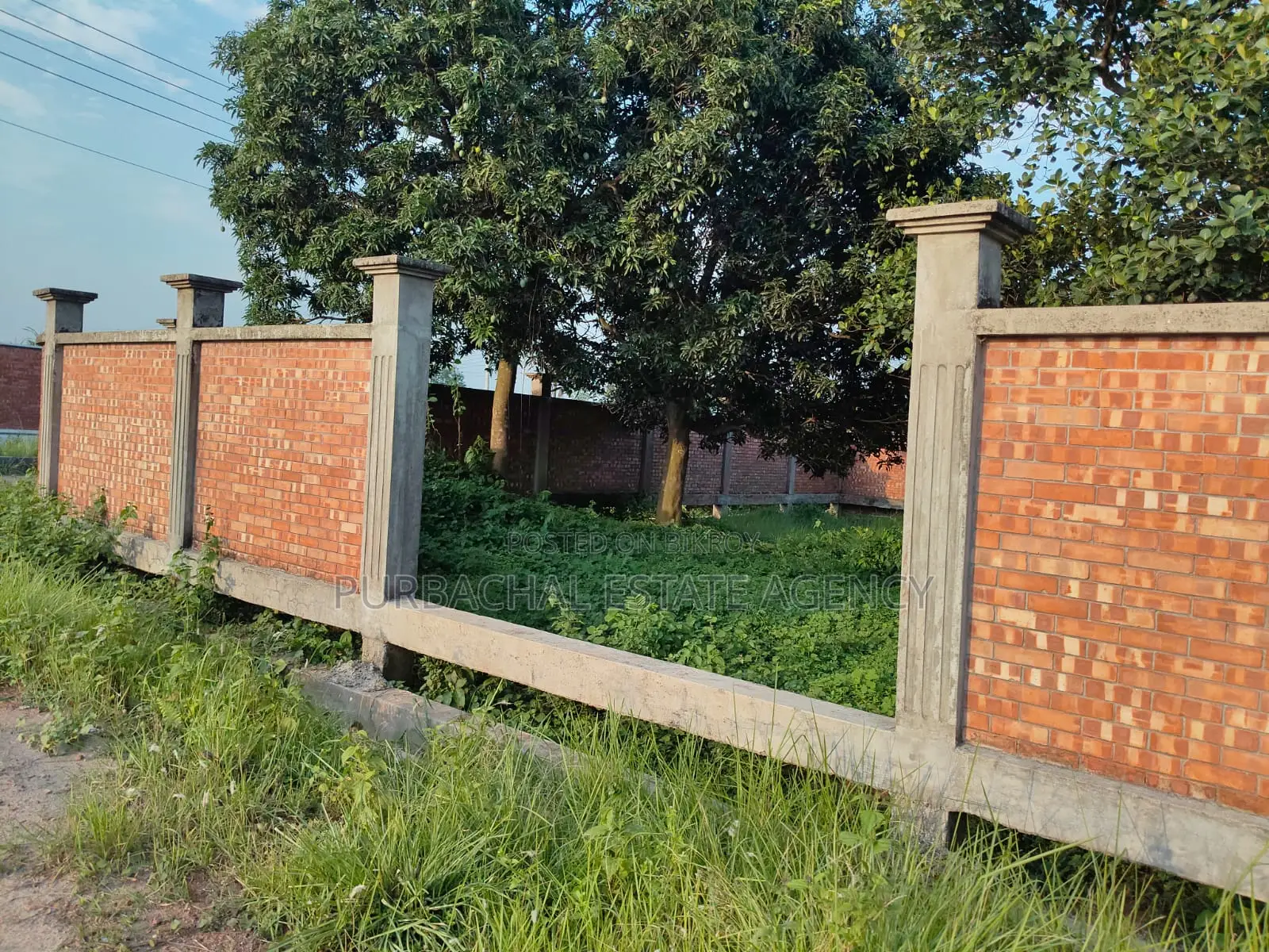 Just Beside 75ft. 3 Katha Plot  in Purbachal