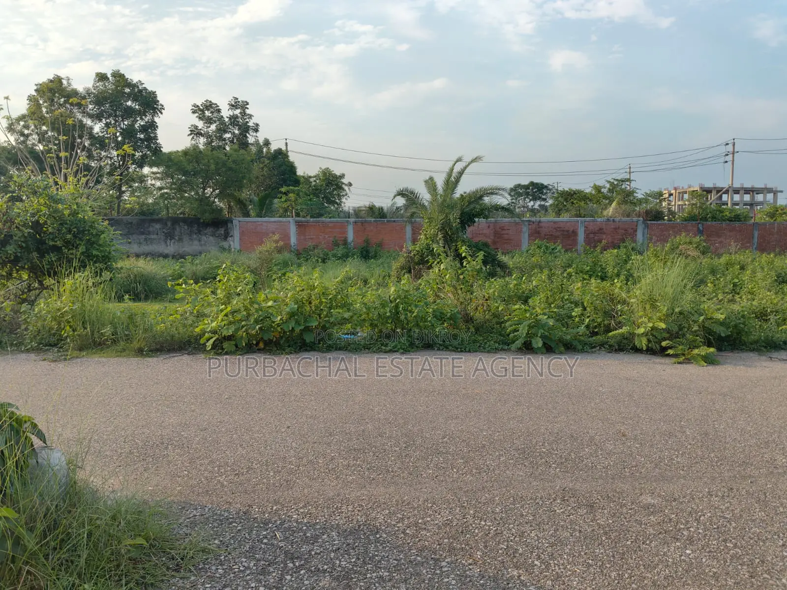 54ft Road, South Facing, 10 Katha in Sec#15 in Purbachal