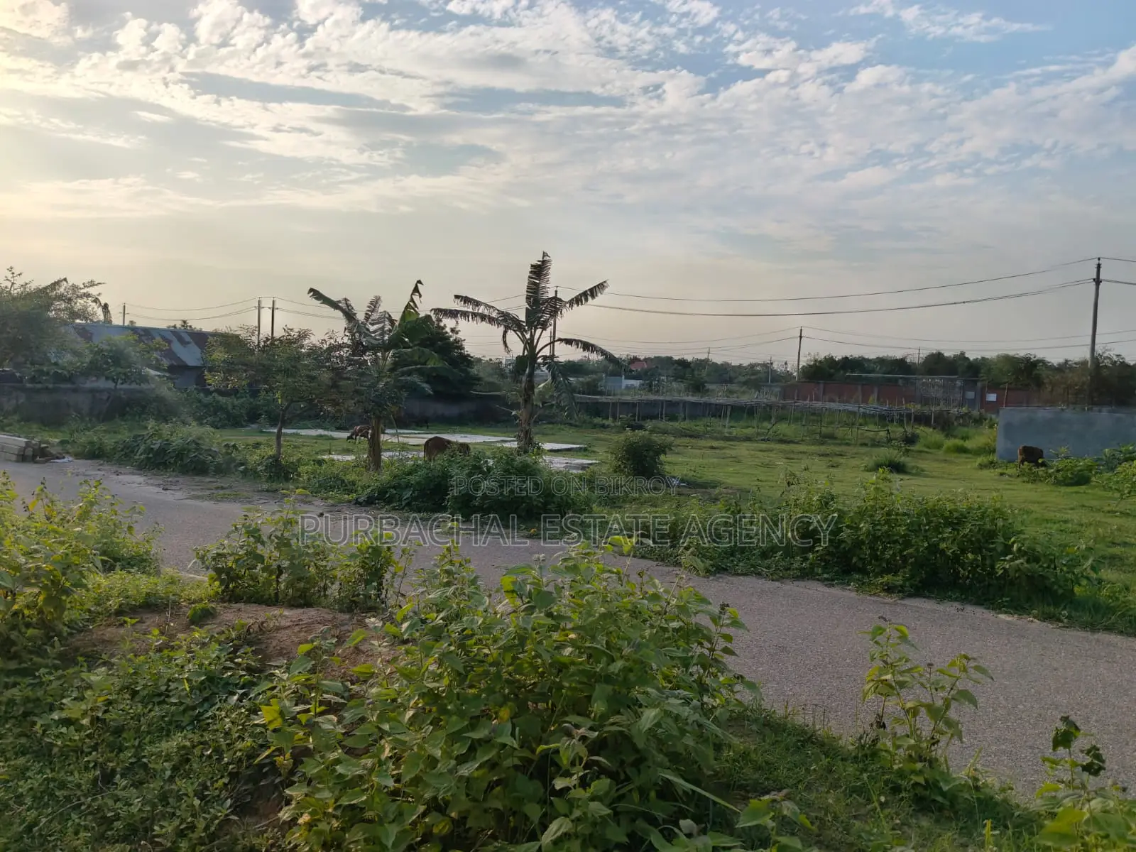 54ft Road, South Facing, 10 Katha in Sec#15 in Purbachal