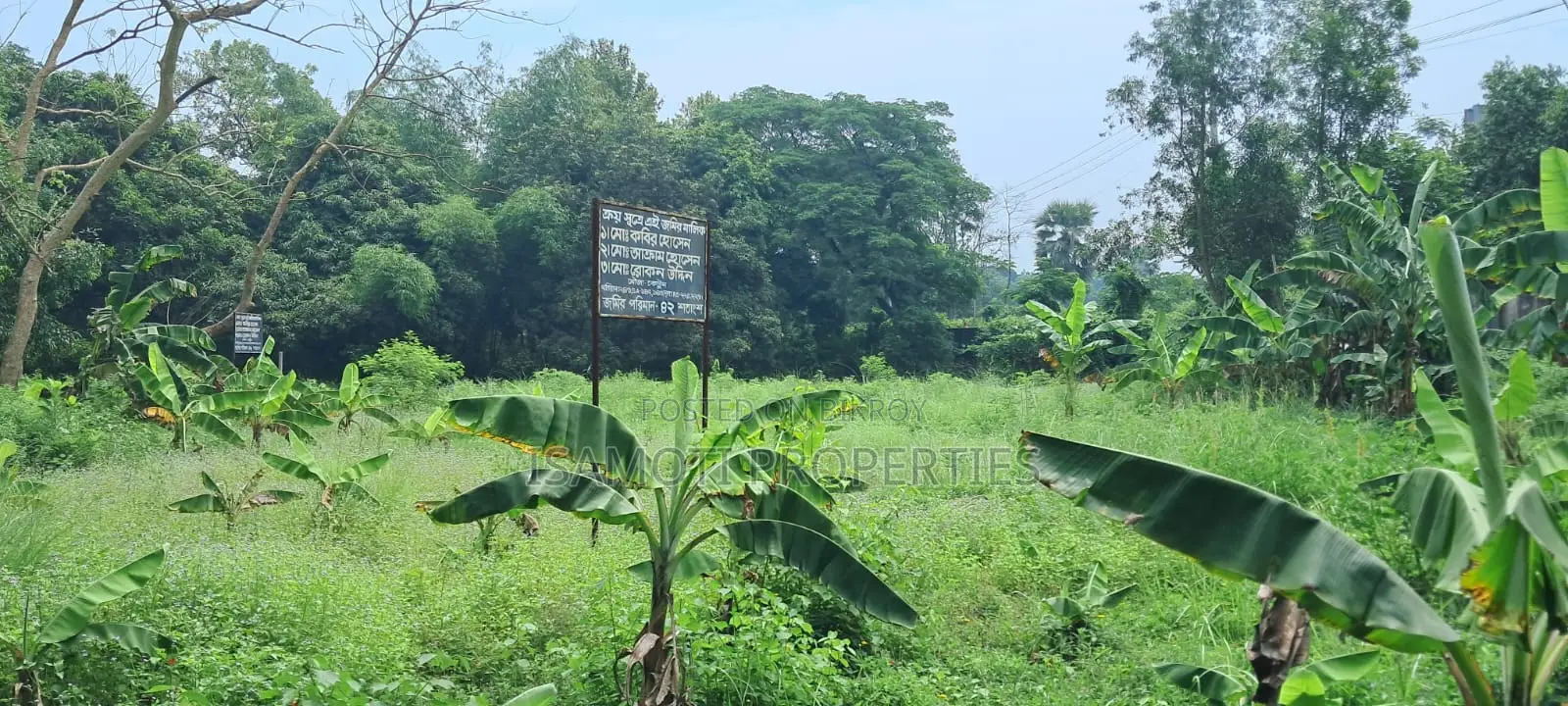 Local 25 Katha Land For Sale in Purbachal
