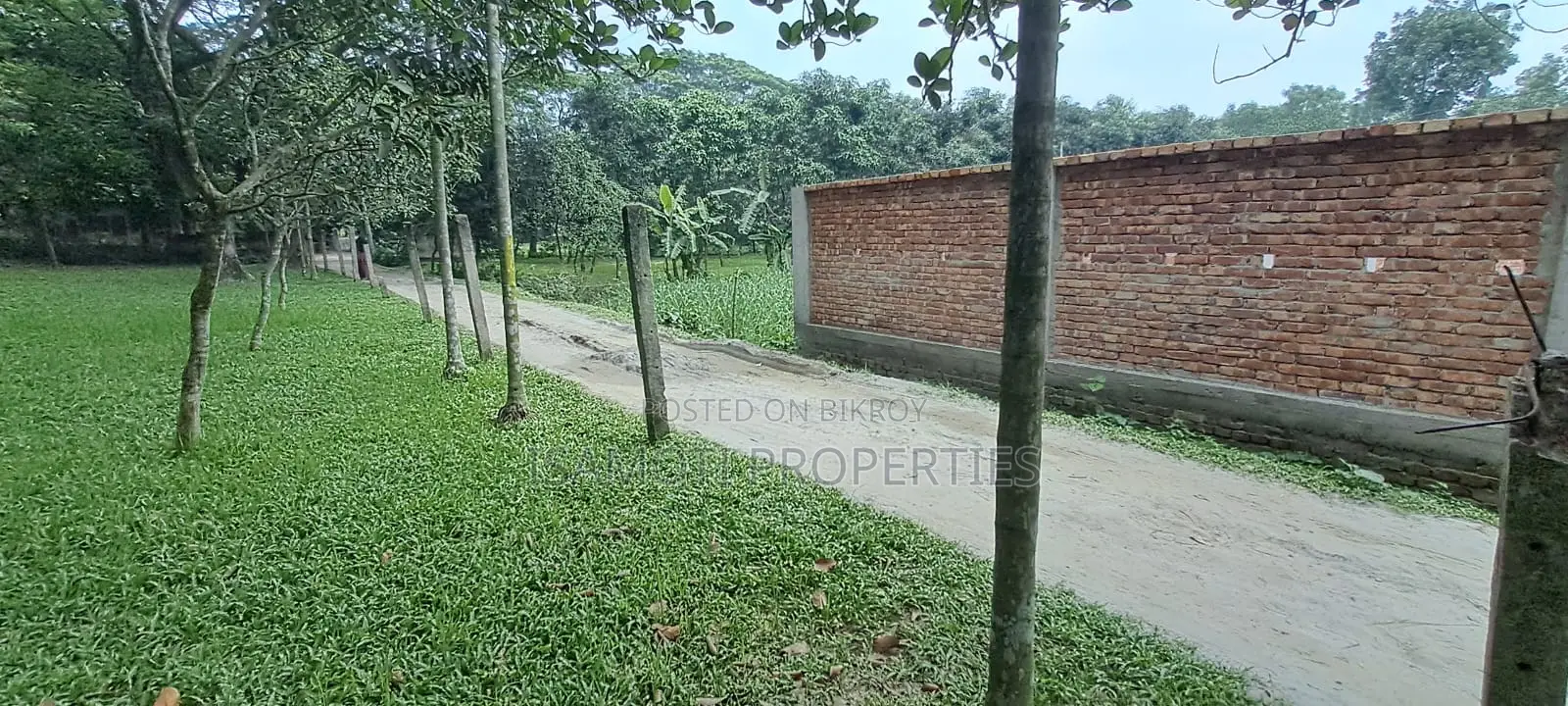 Purbachal Local Land for Sale in Purbachal