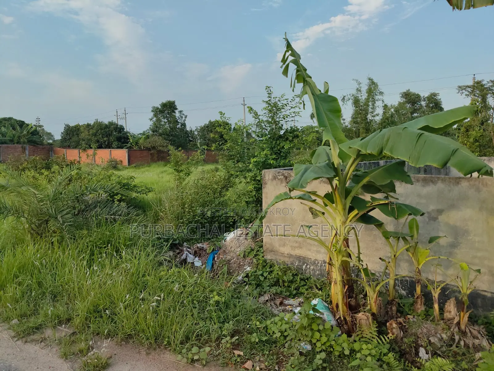 Near Scenic Lake, South Facing, 5 Katha Plot in Purbachal