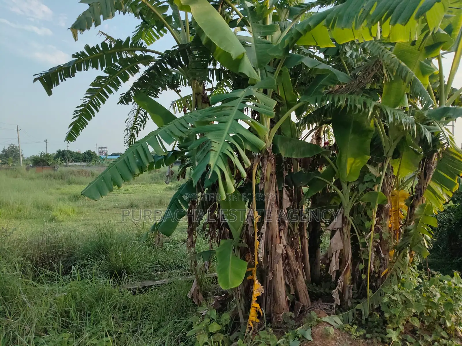 Exclusive 7.5 Katha North-East Corner Plot Close to 300ft – Sec#1 in Purbachal