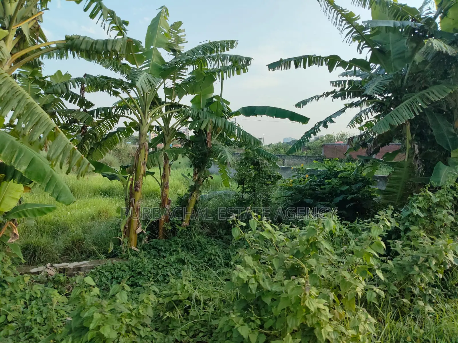 South Facing 5 Katha Plot Very Close to Lake – Sec#10 in Purbachal