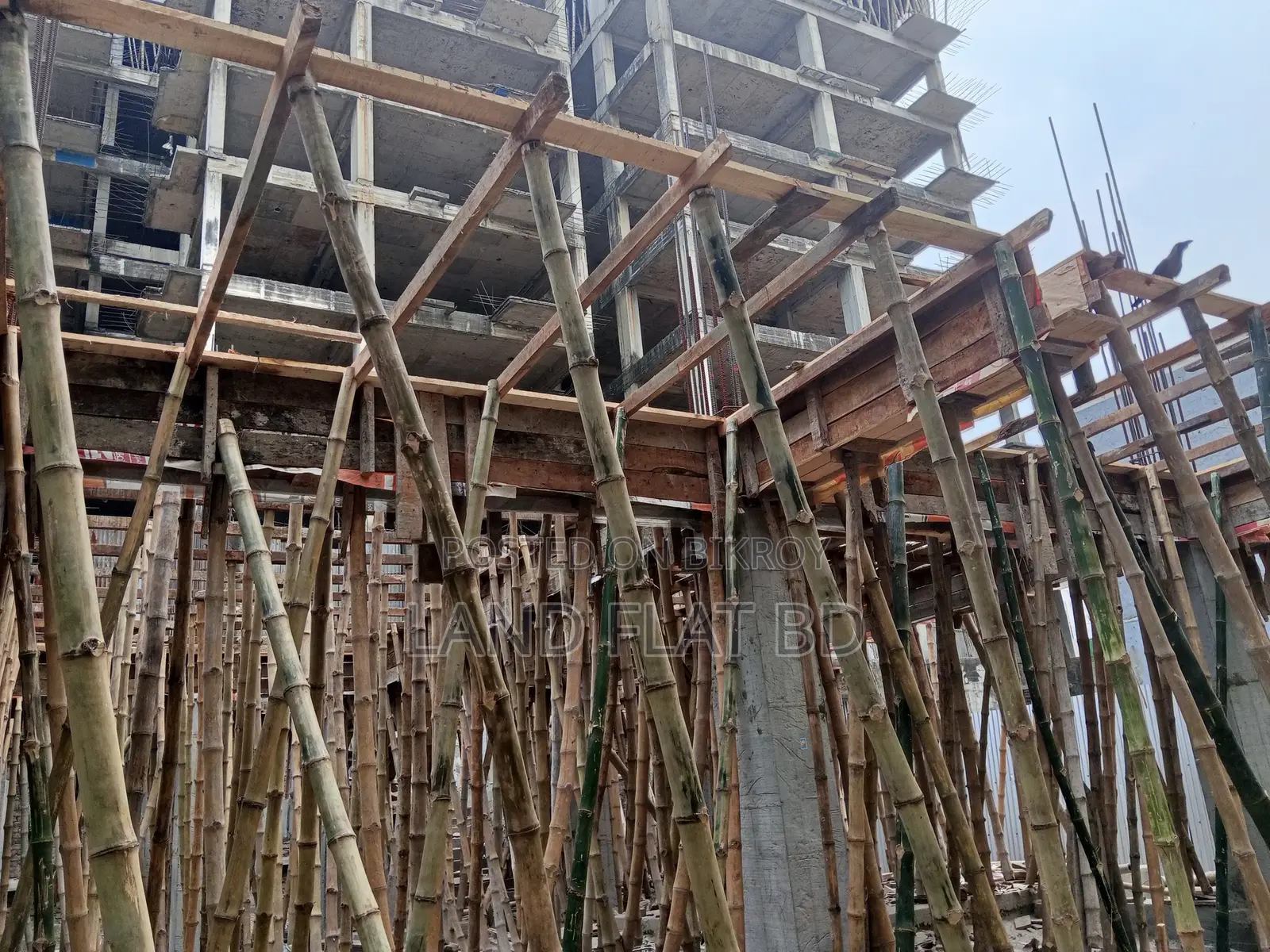 4bdrm Apartment in Bagdag Tajmahol, Mohammadpur for Sale in Mohammadpur