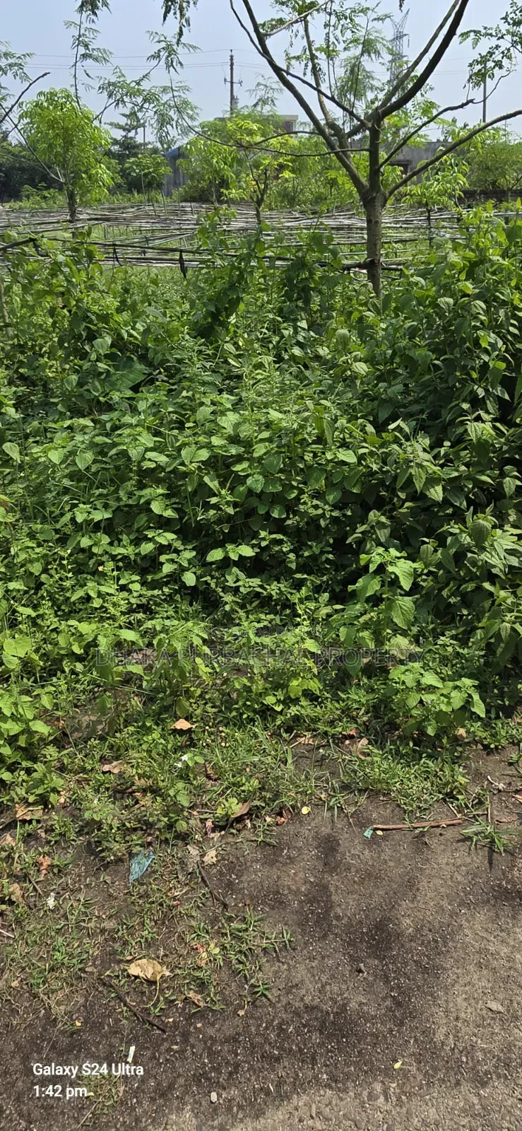 Rajuk Purbachal 10 Katha Allotted Plot in Purbachal