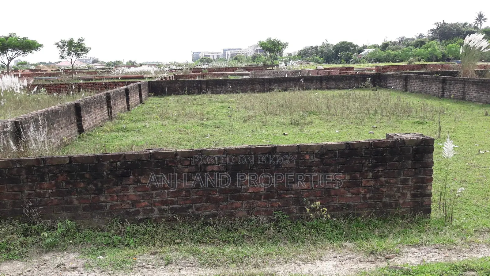 M-Block South Face 4-Katha Plot Sale Near Mosque in Basundhara