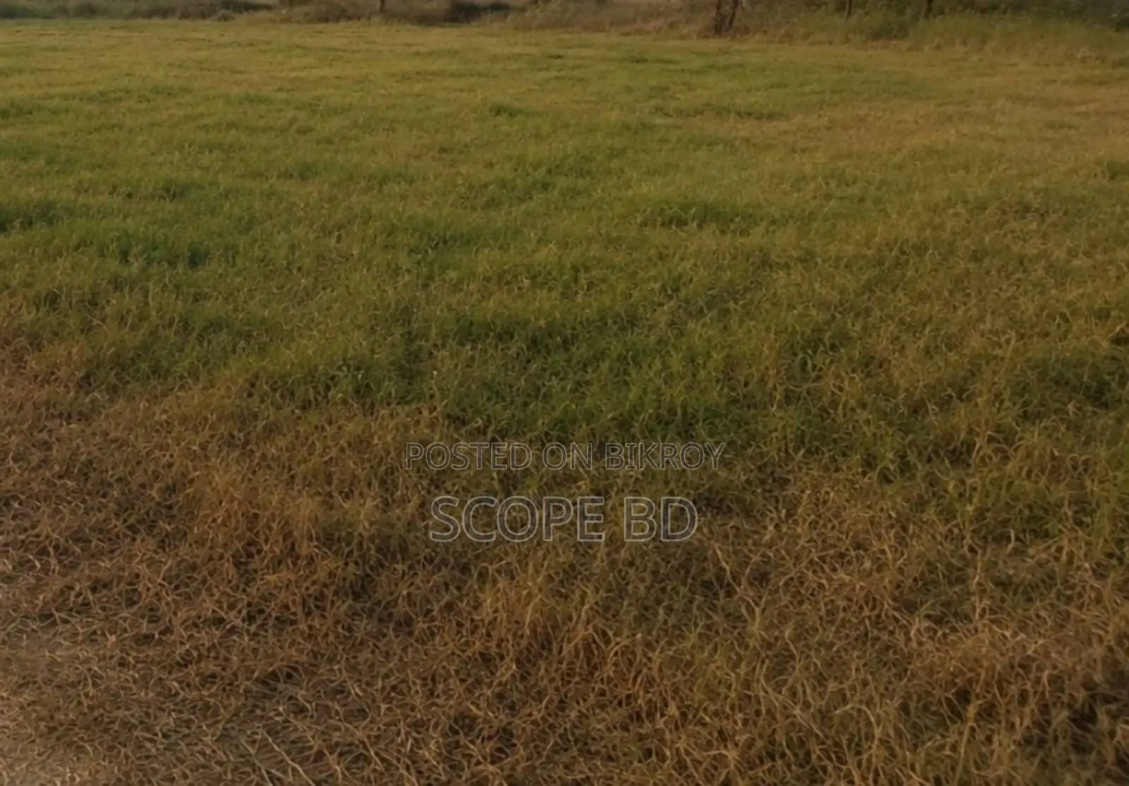 Land For Sale in Narayanganj Sadar