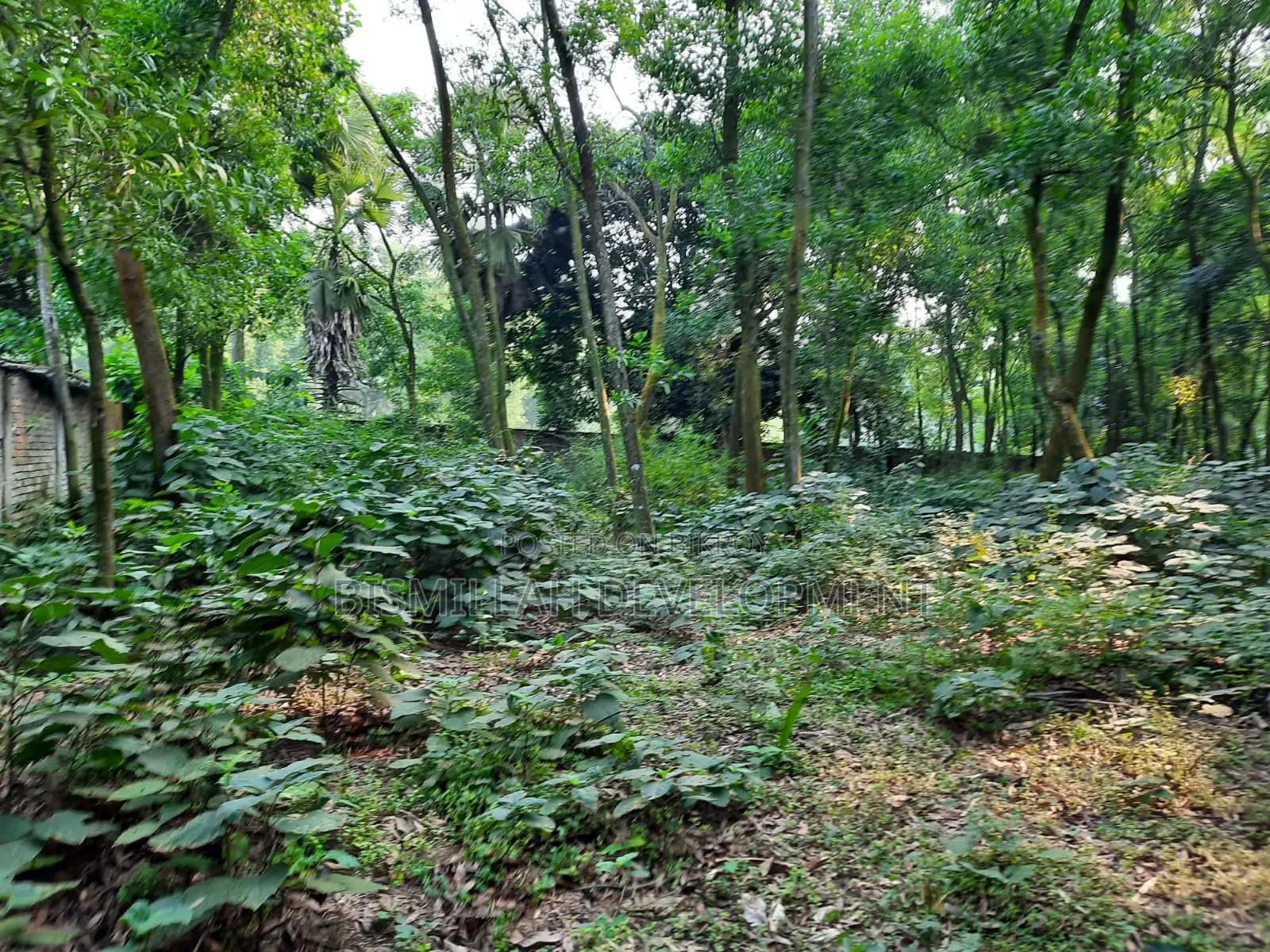 Plot Sale at Bashundhara R/A in Basundhara