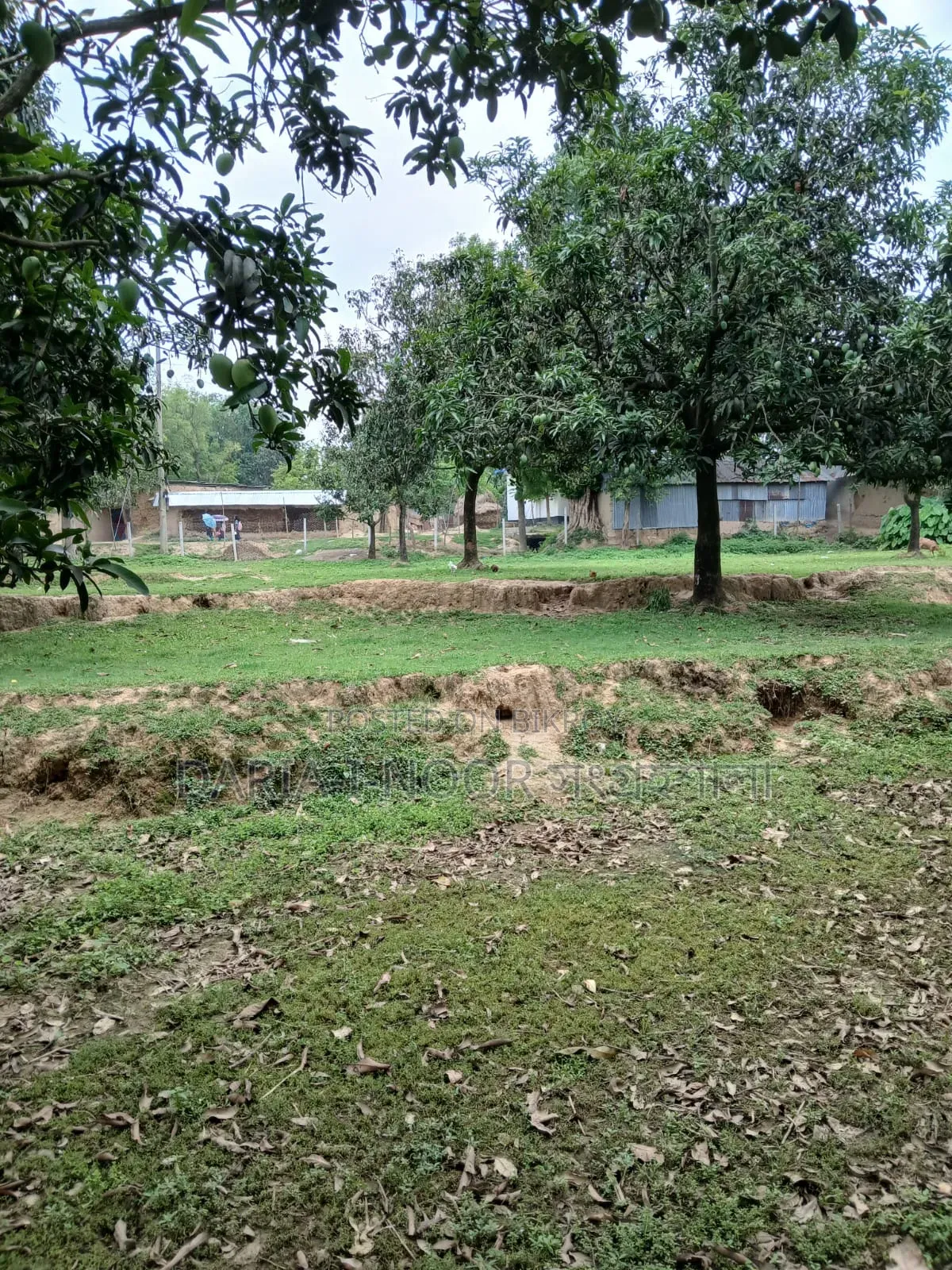 10bdrm House in June 25, Mohammadpur for Sale in Mohammadpur