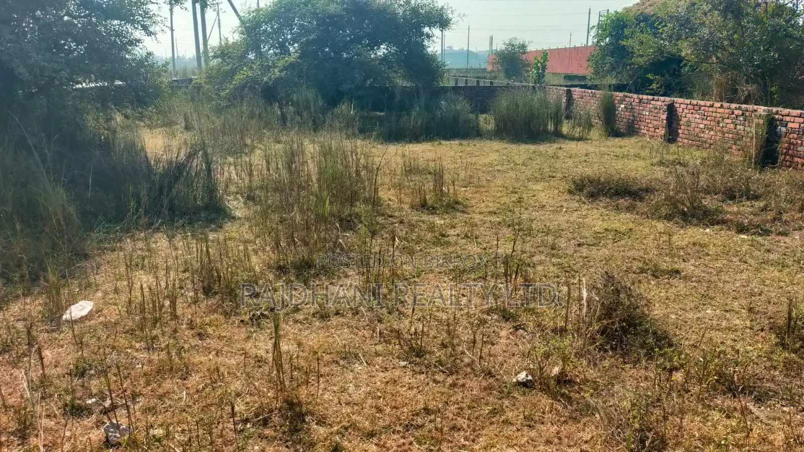5 Katha Plot for Sale N - Ex Block Bashundhara Residential in Basundhara