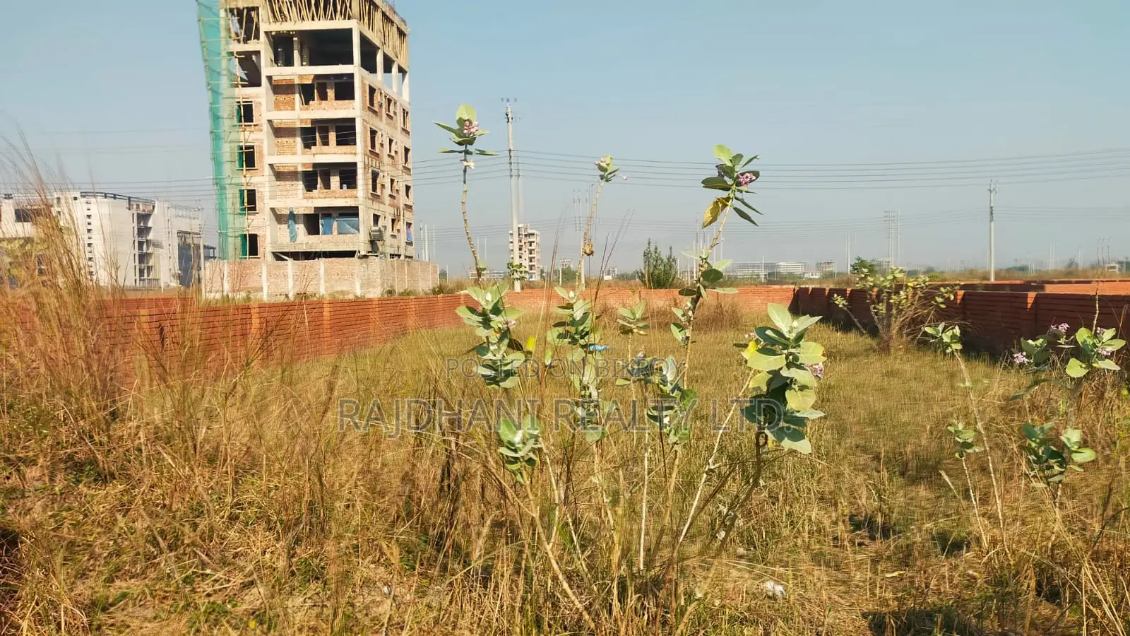 5 Katha Plot for Sale N - Ex Block Bashundhara Residential in Basundhara